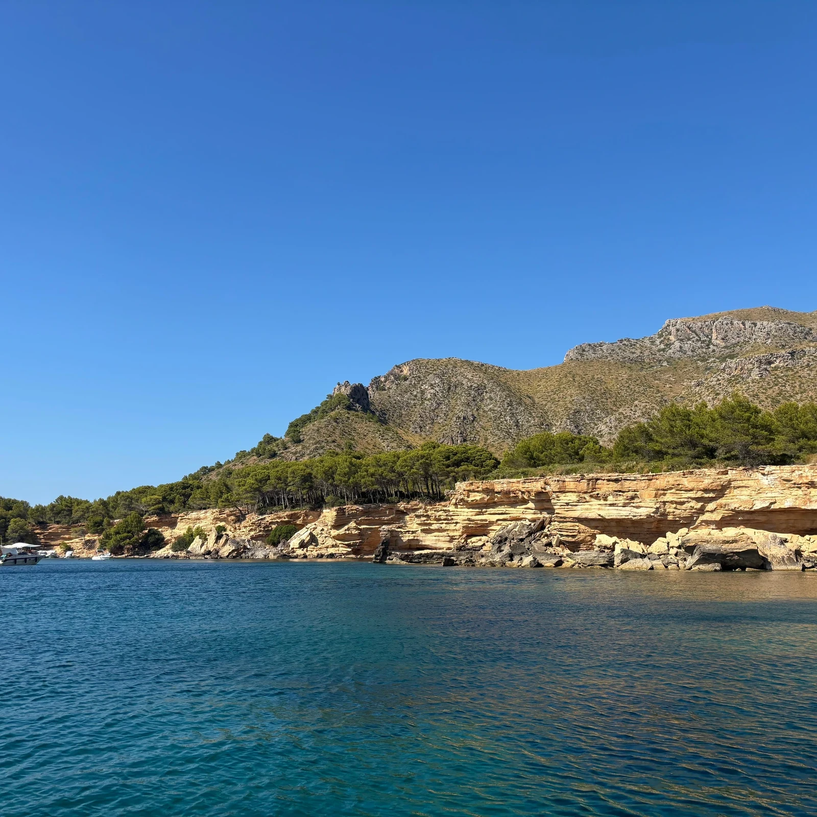 Alcudia: sea caves, snorkeling and paddleboarding by boat