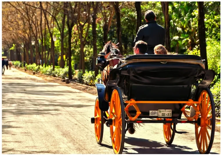 Paseo en coche de caballos por Sevilla