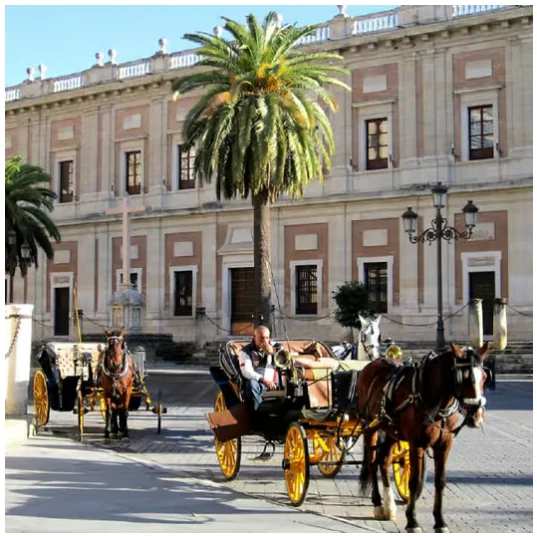 Paseo en coche de caballos por Sevilla: recorre el centro histórico en carruaje privado