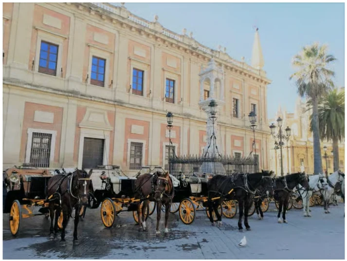 Paseo en coche de caballos por Sevilla: recorre el centro histórico en carruaje privado