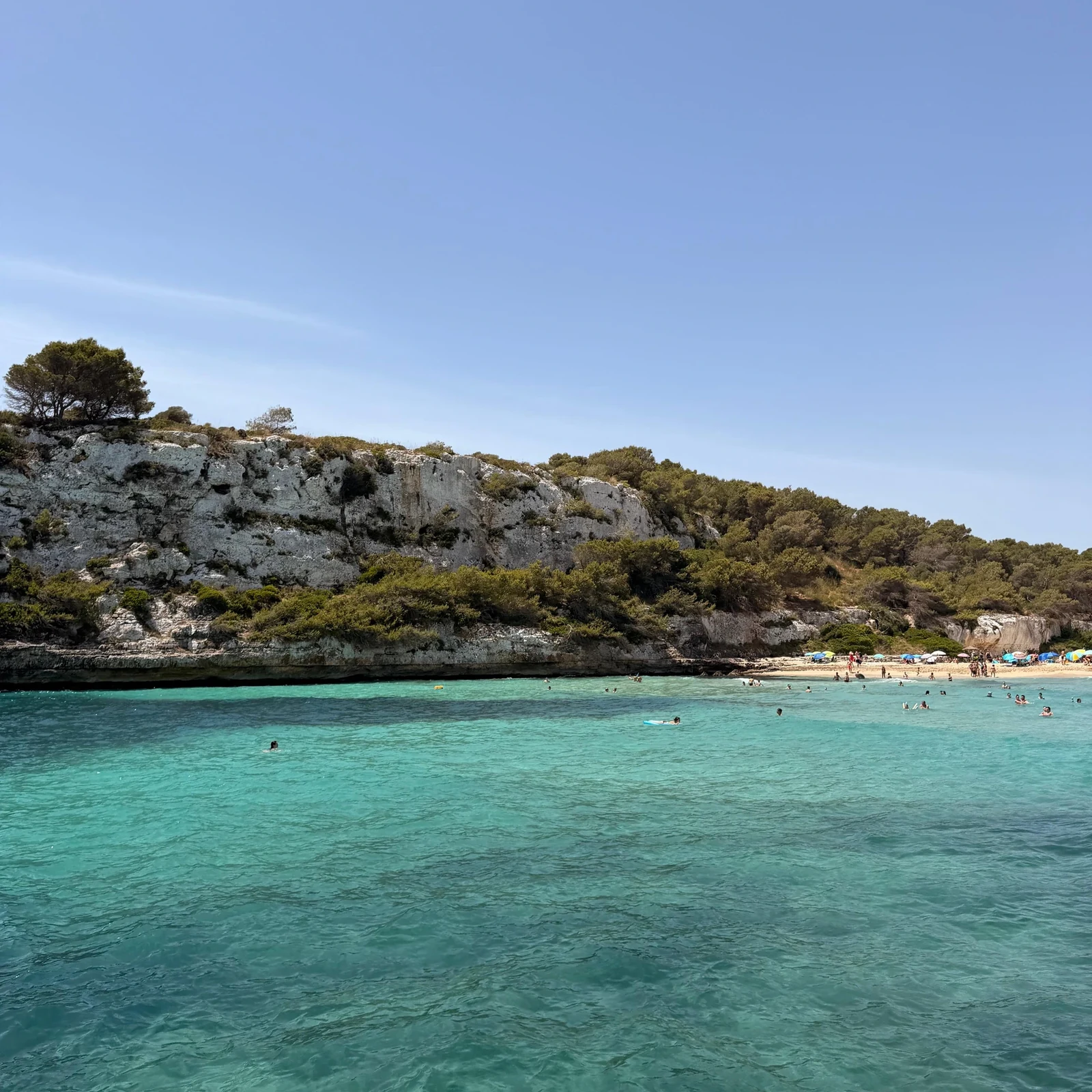 Côte est de Majorque en bateau à fond de verre, criques et baignade