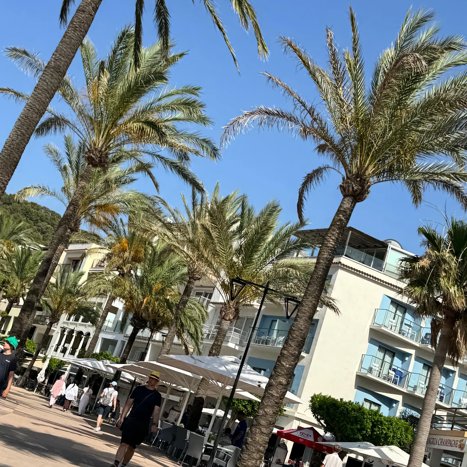Valldemossa and Soller small-group tour from Palma