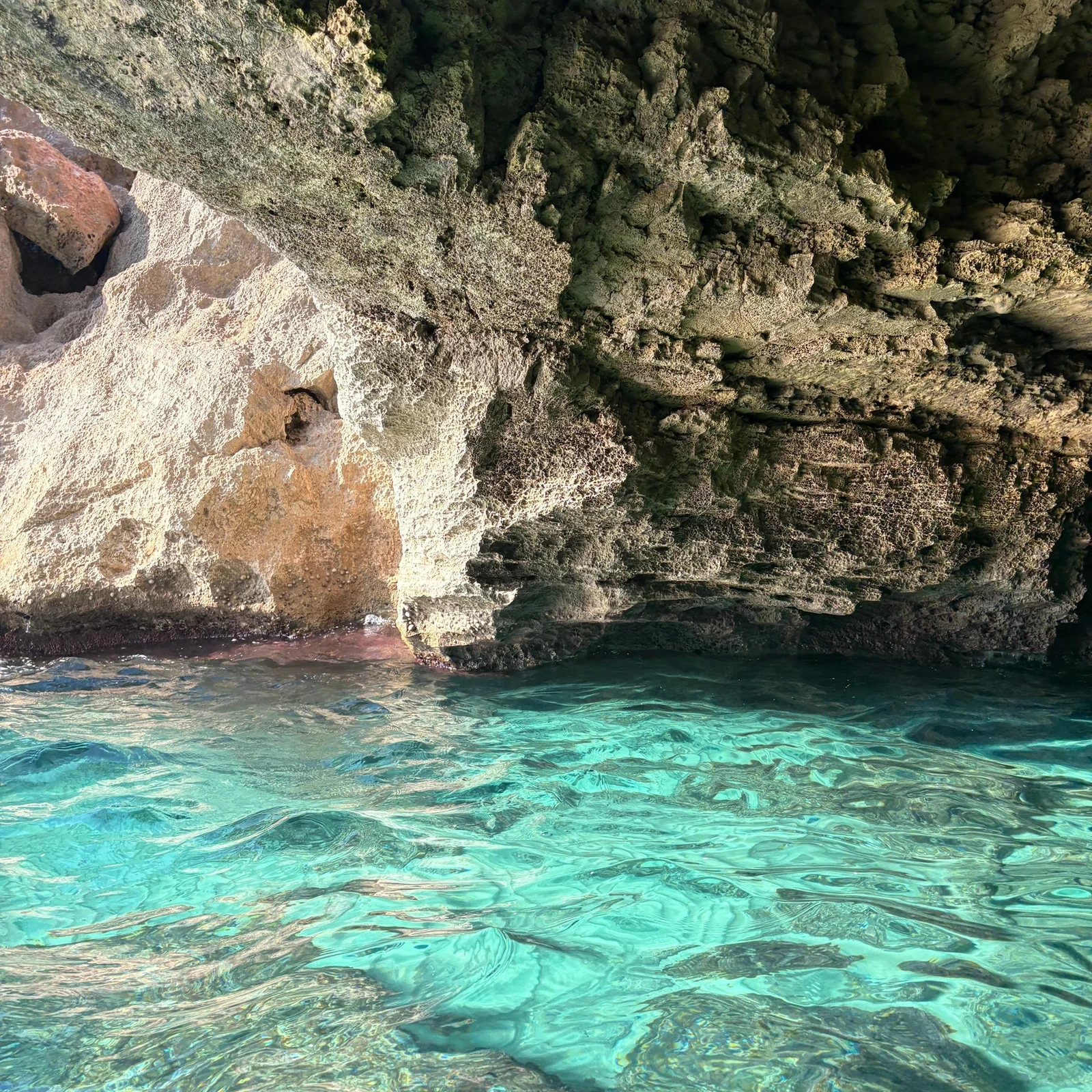 Réserve marine de Majorque en bateau : snorkeling, criques et paddle
