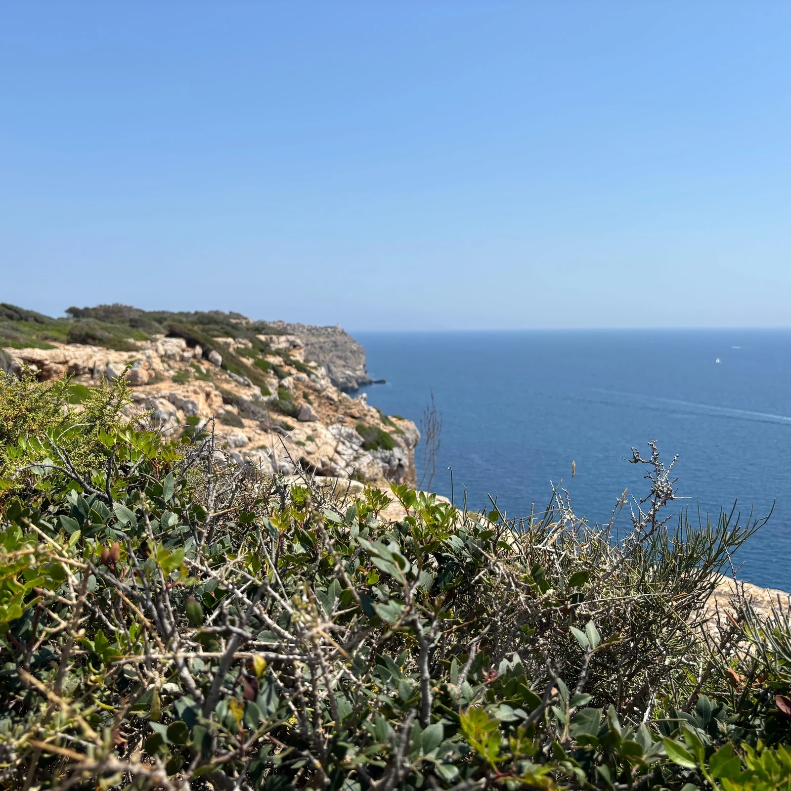 Mallorca im 4x4-Jeep: selbst fahren, offroad unterwegs sein und baden