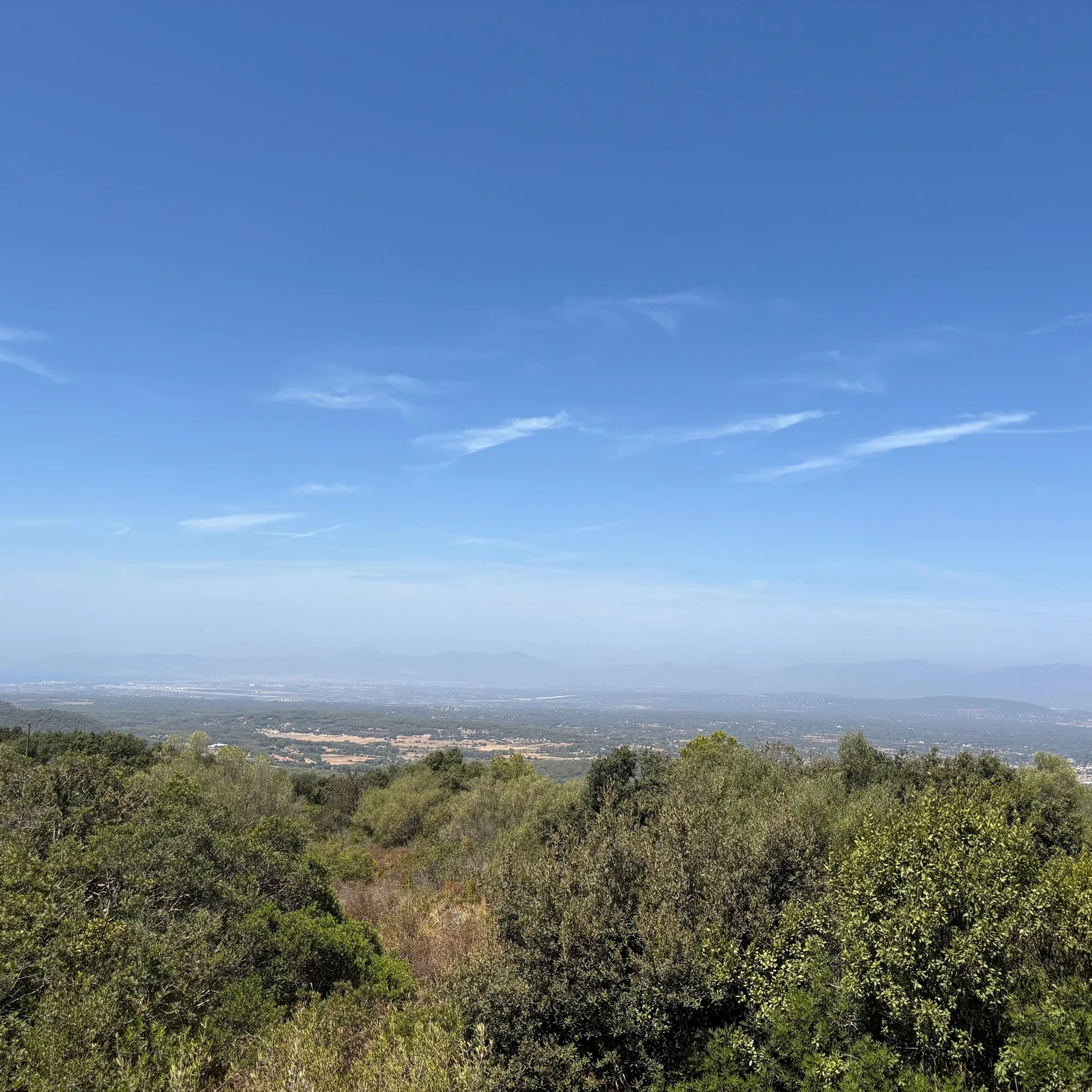 Mallorca im 4x4-Jeep: selbst fahren, offroad unterwegs sein und baden