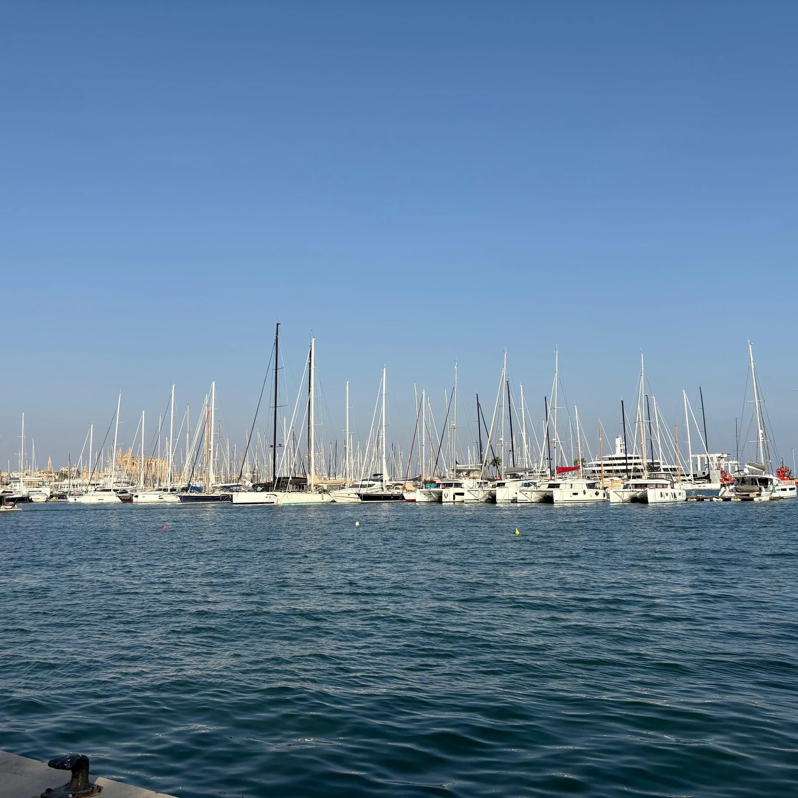 Katamaran von Palma nach Cala Vella mit Tapas, Schwimmen und Schnorcheln