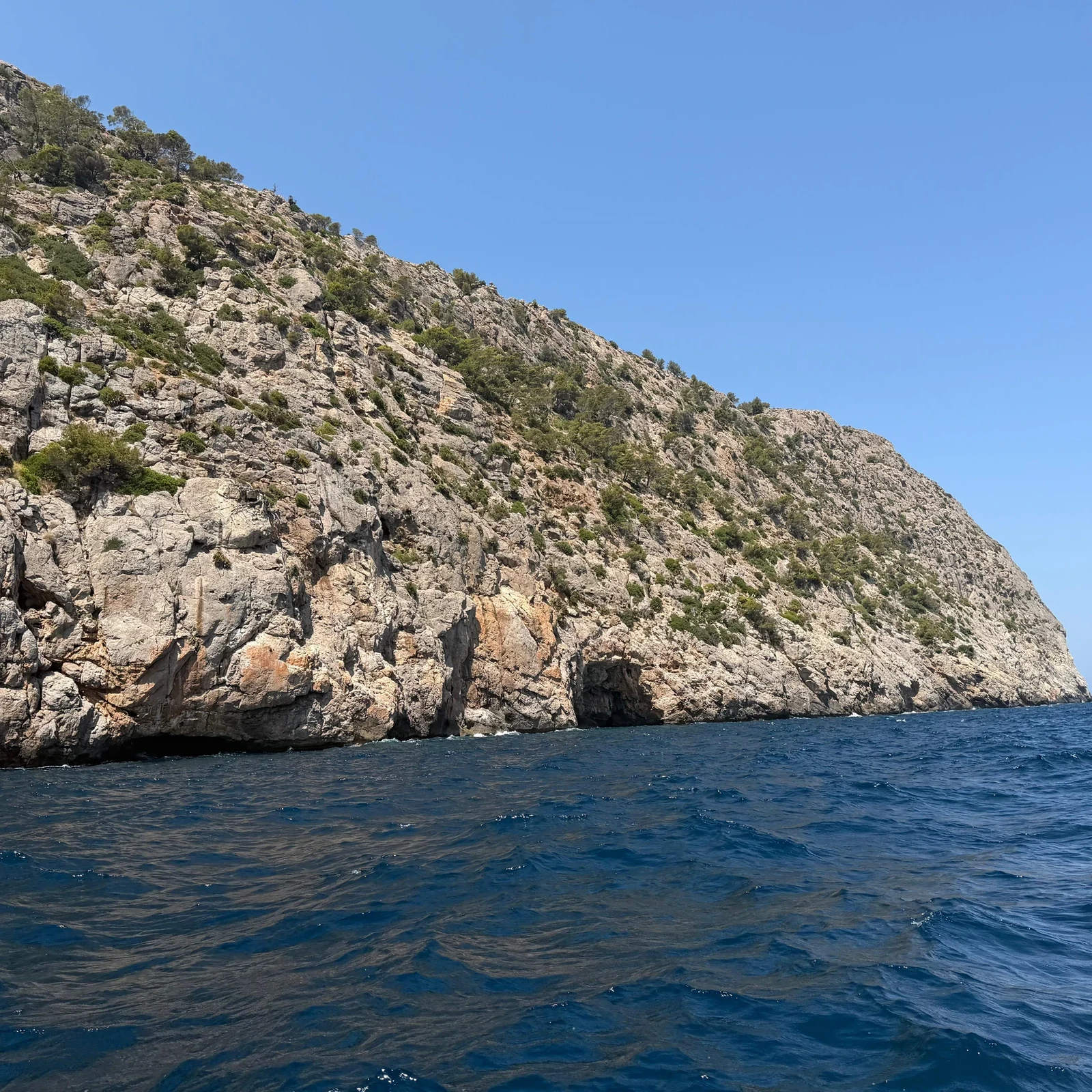 De Alcudia a Formentor, Cap Pinar y Cala Murta en barco y grupo pequeño