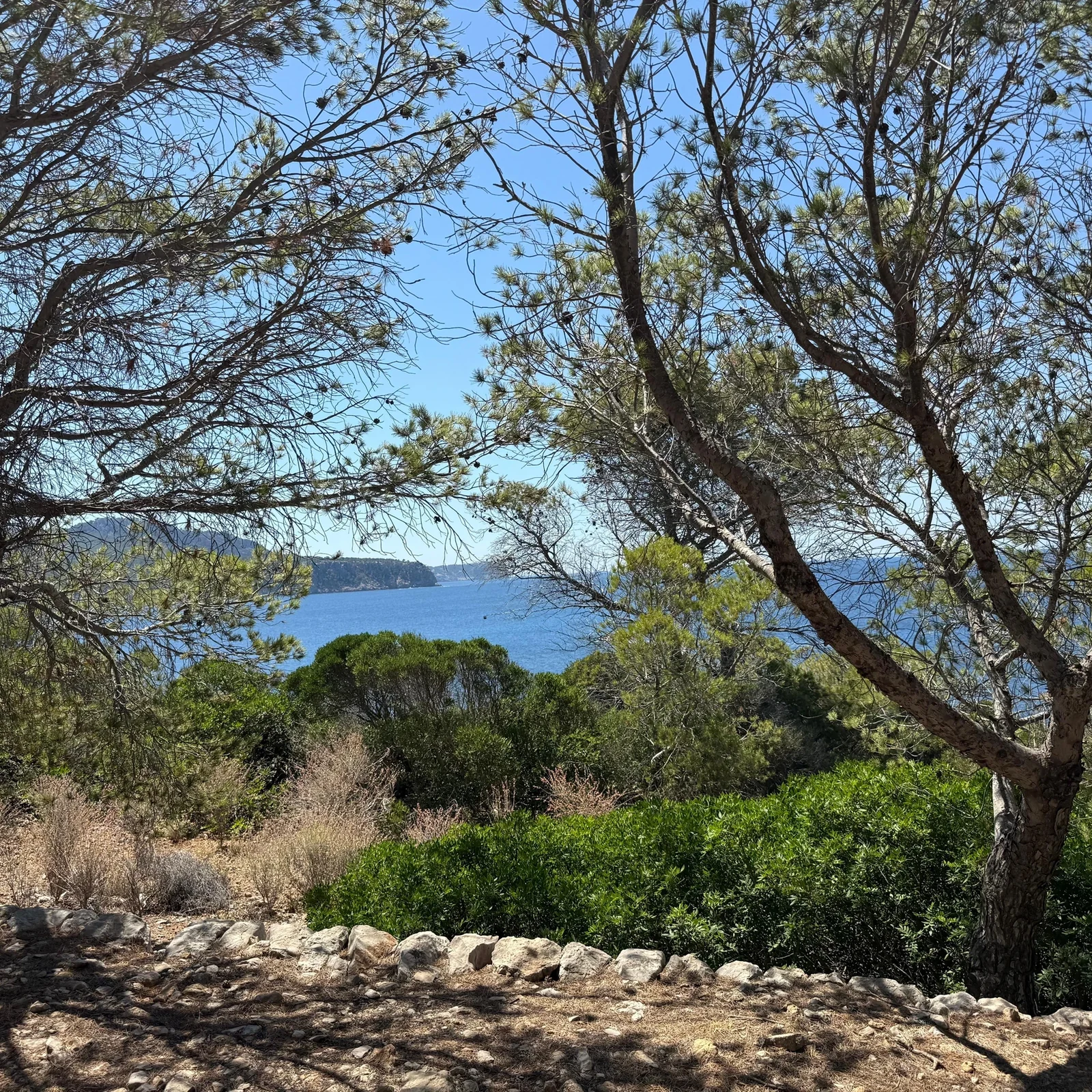 Dragonera en bateau : nature, baignade, snorkeling et déjeuner en 5 heures