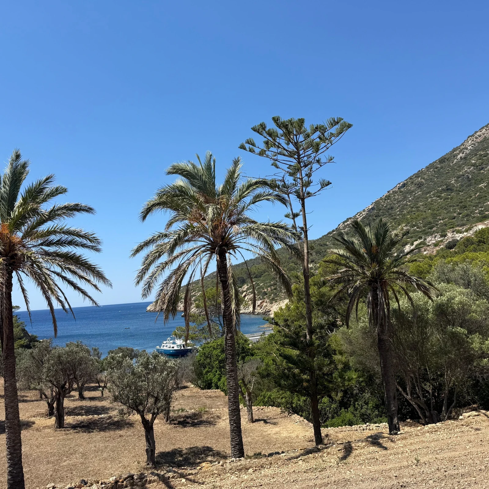 Dragonera en bateau : nature, baignade, snorkeling et déjeuner en 5 heures