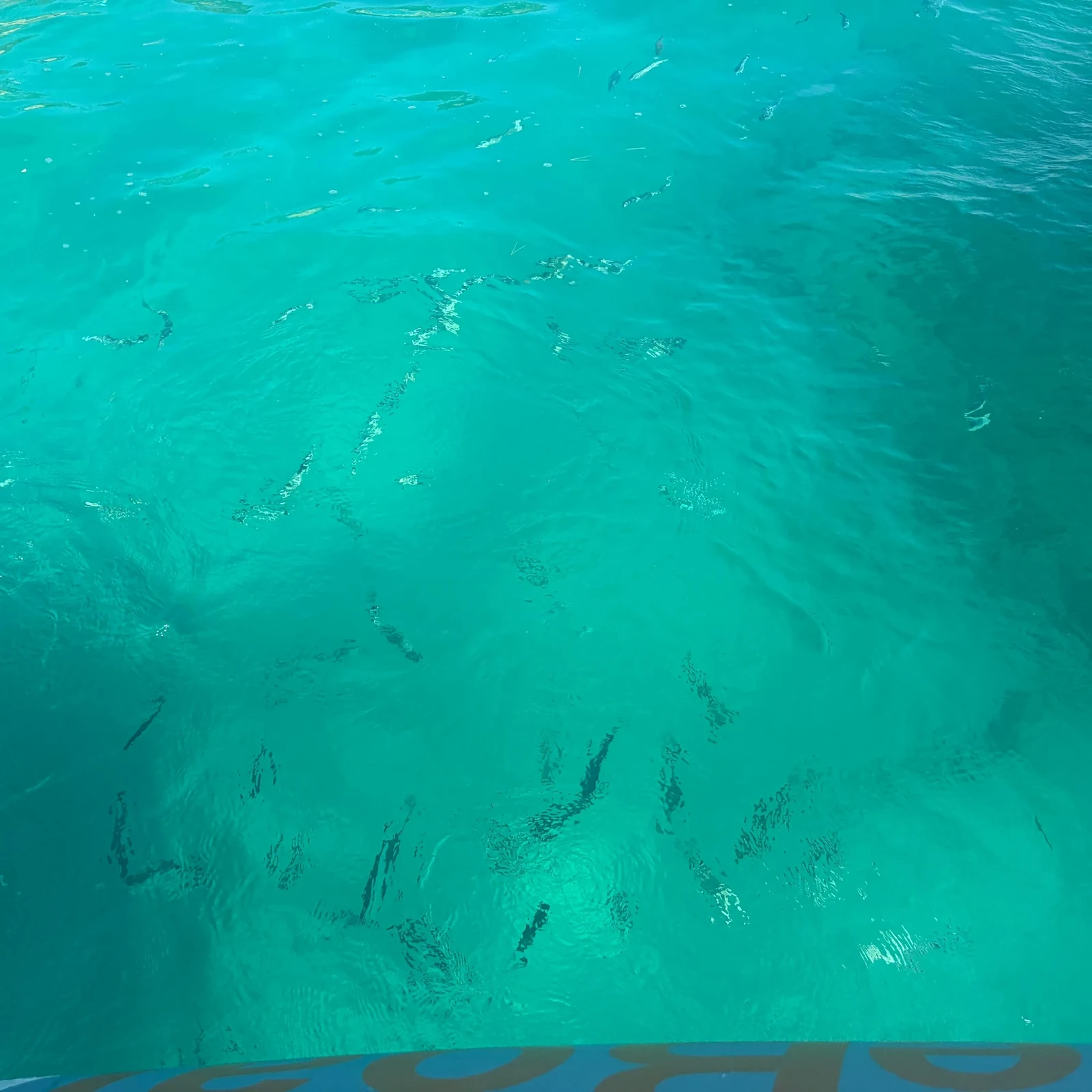 Une grotte marine, cinq criques et du snorkeling en 1 h 30 depuis Portocolom