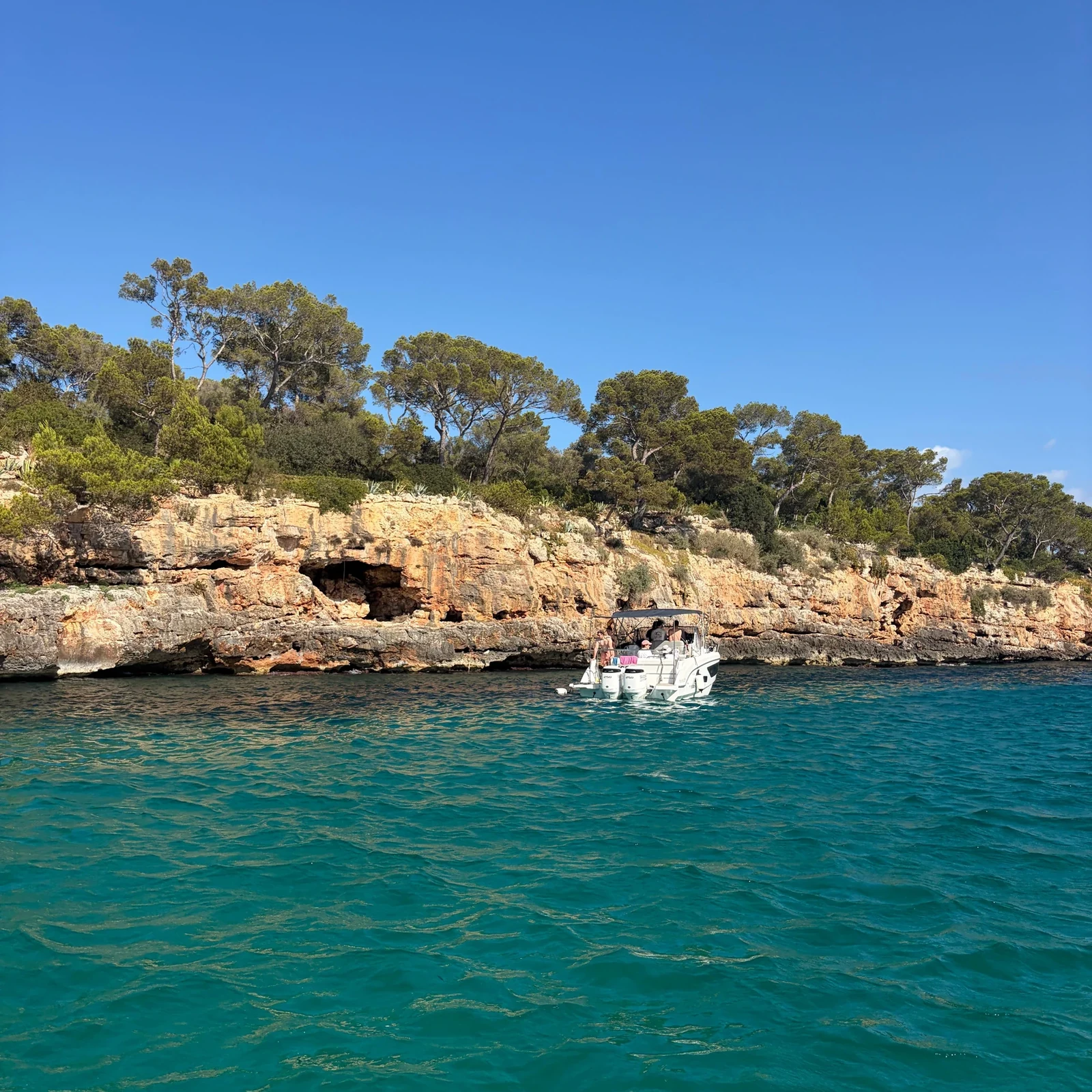 A sea cave, five coves and snorkeling in 90 minutes from Portocolom