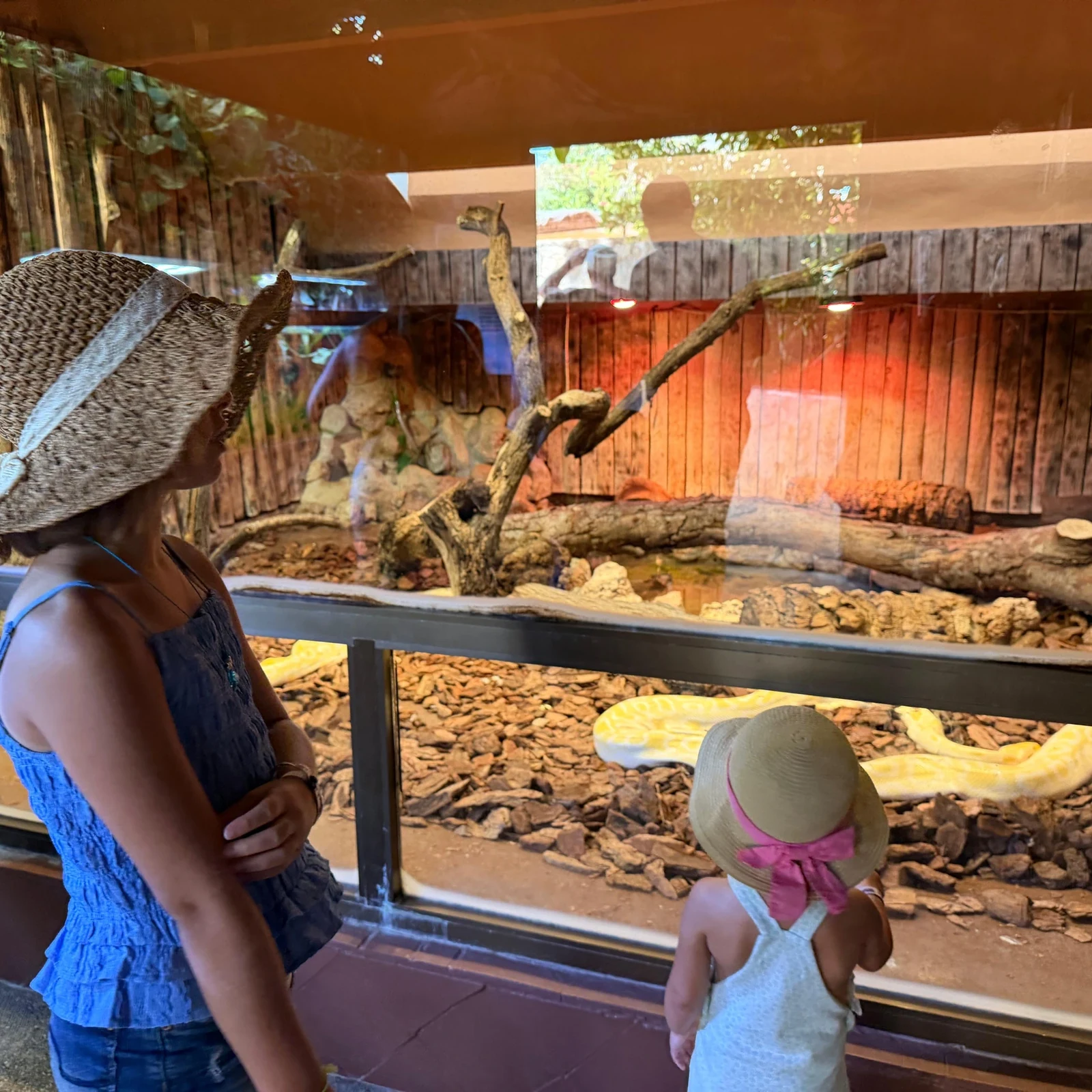 Marineland Mallorca : une journée entre dauphins, aquariums et animaux