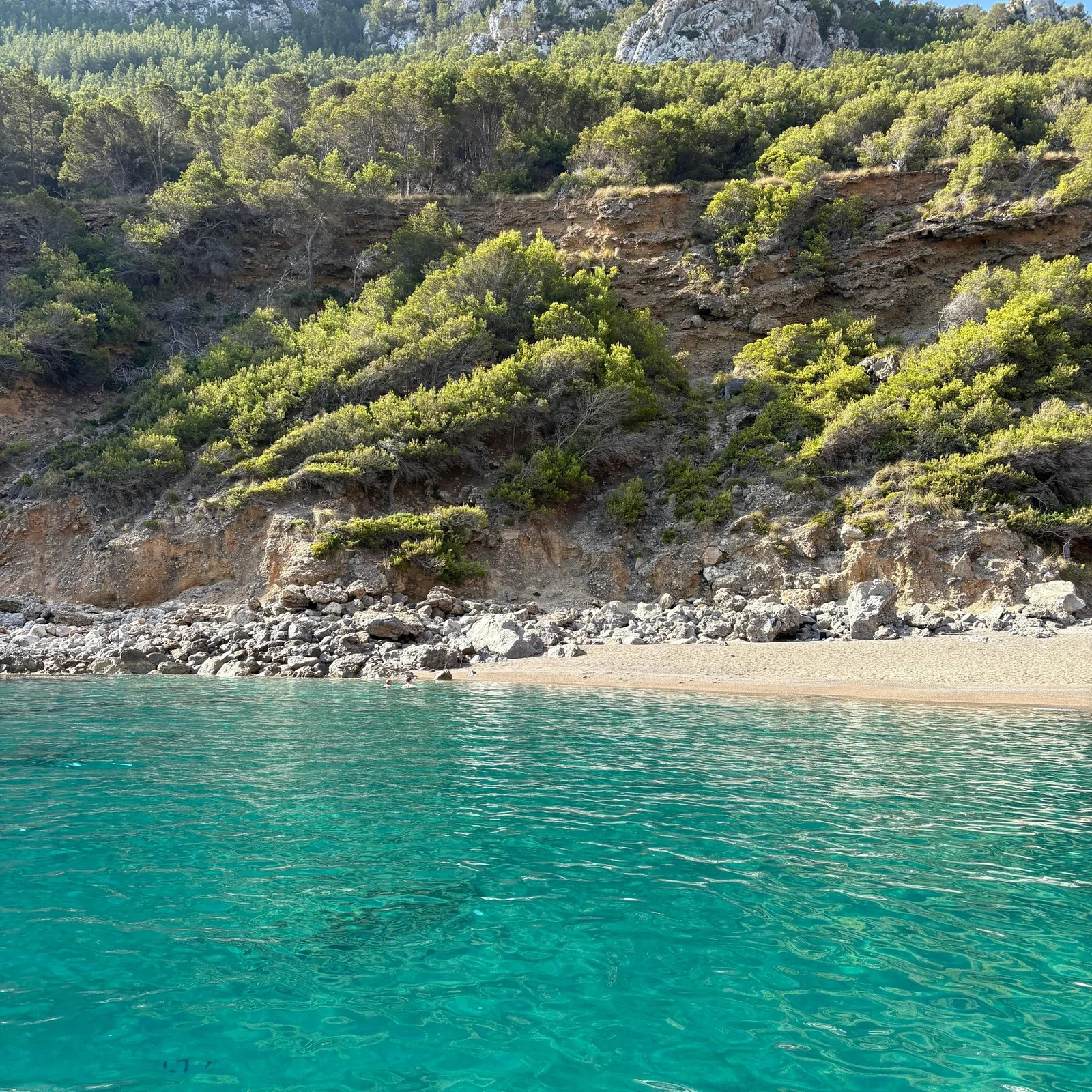 Dauphins, grotte marine et Es Coll Baix depuis Can Picafort