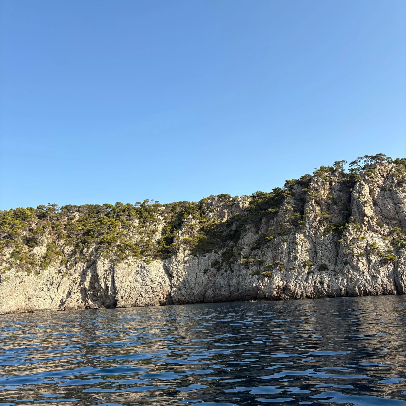 Dauphins, grotte marine et Es Coll Baix depuis Can Picafort