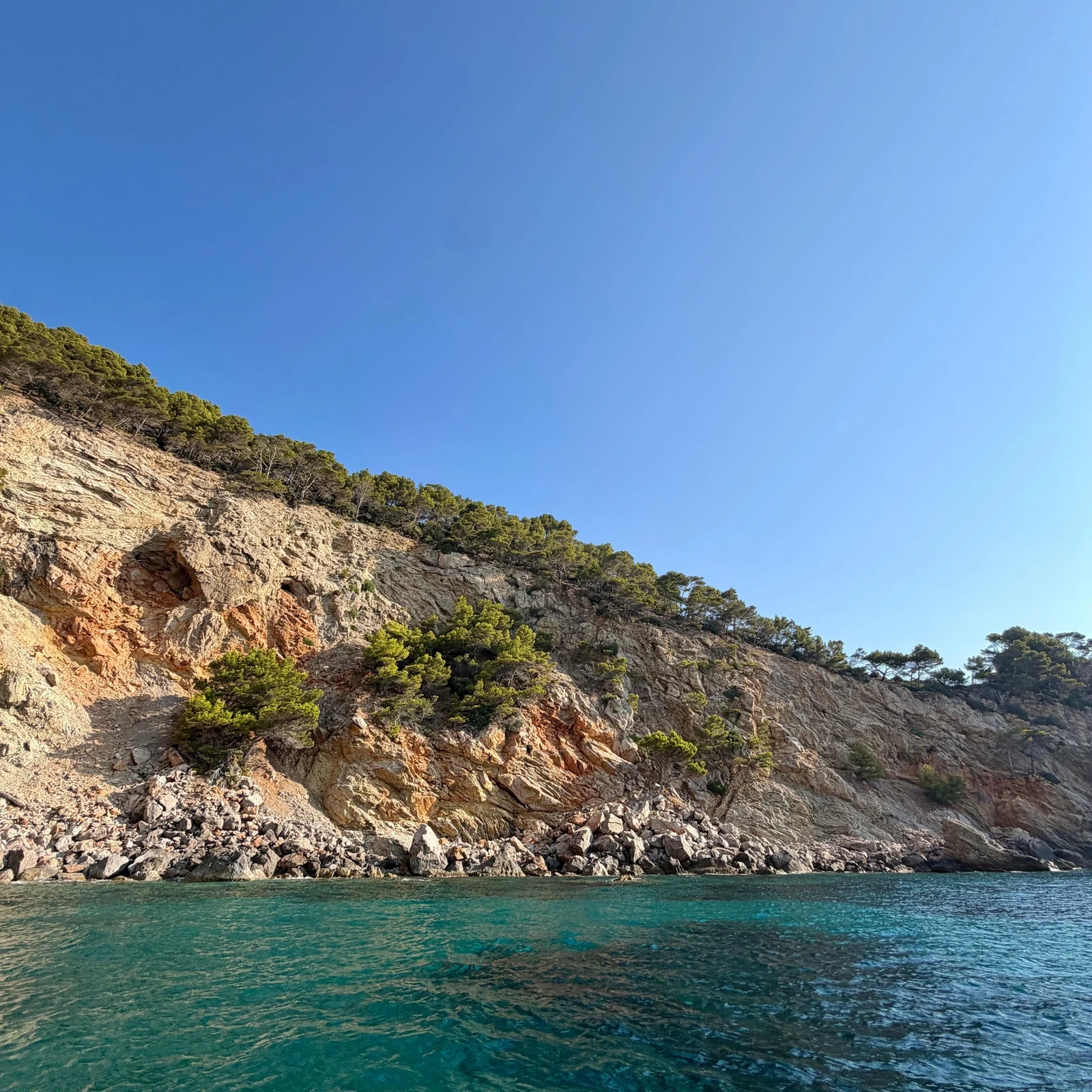 Dauphins, grotte marine et Es Coll Baix depuis Can Picafort