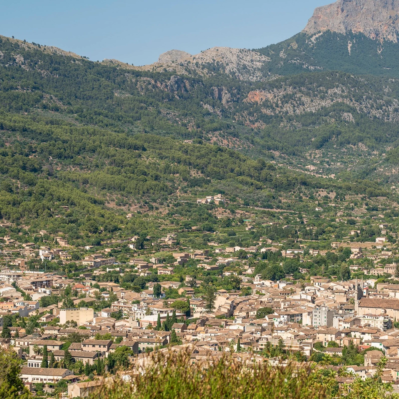Mallorca mit Bus, Boot, Straßenbahn und Holzeisenbahn an einem Tag