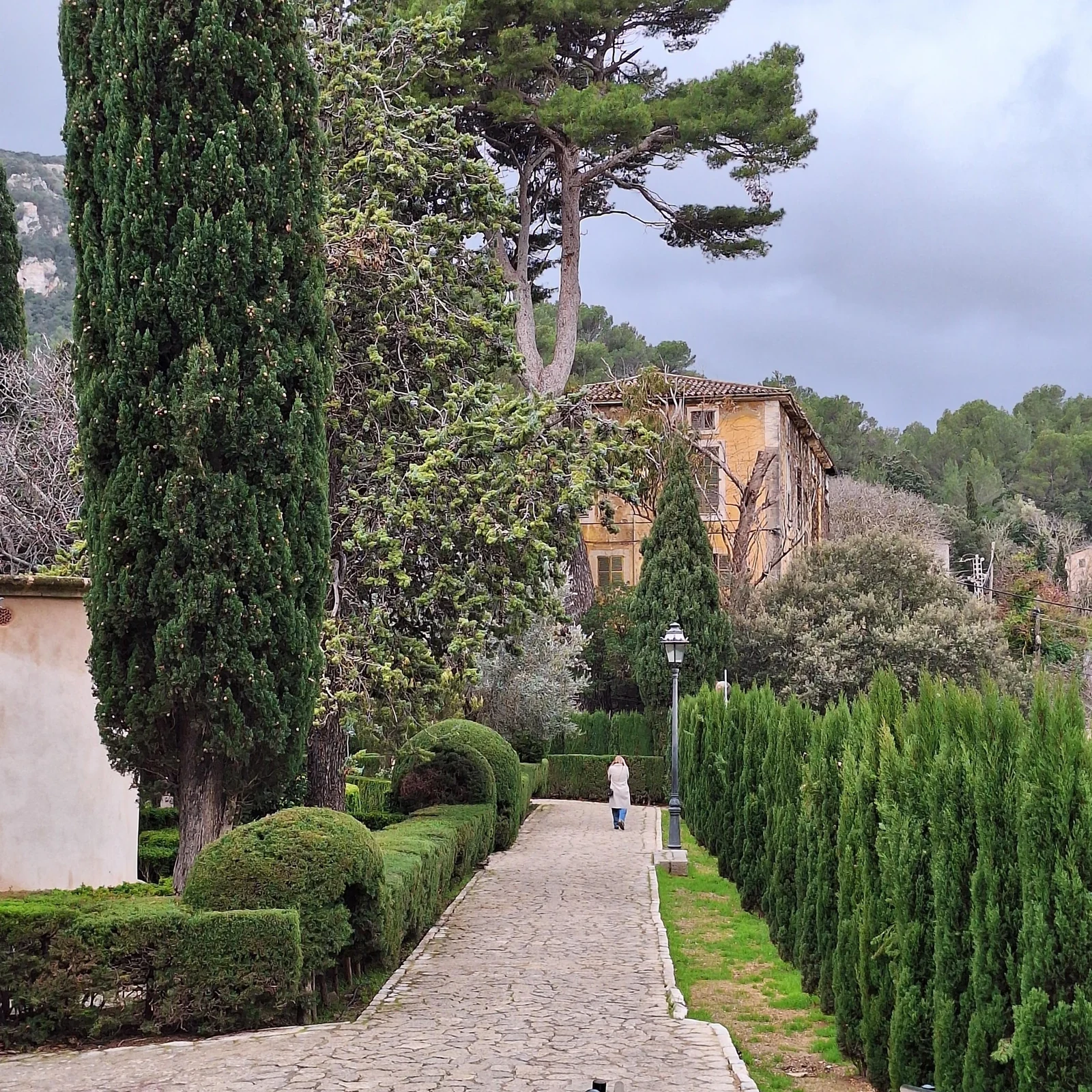 Serra de Tramuntana: Valldemossa, Miramar und Sóller mit Guide und Mittagessen