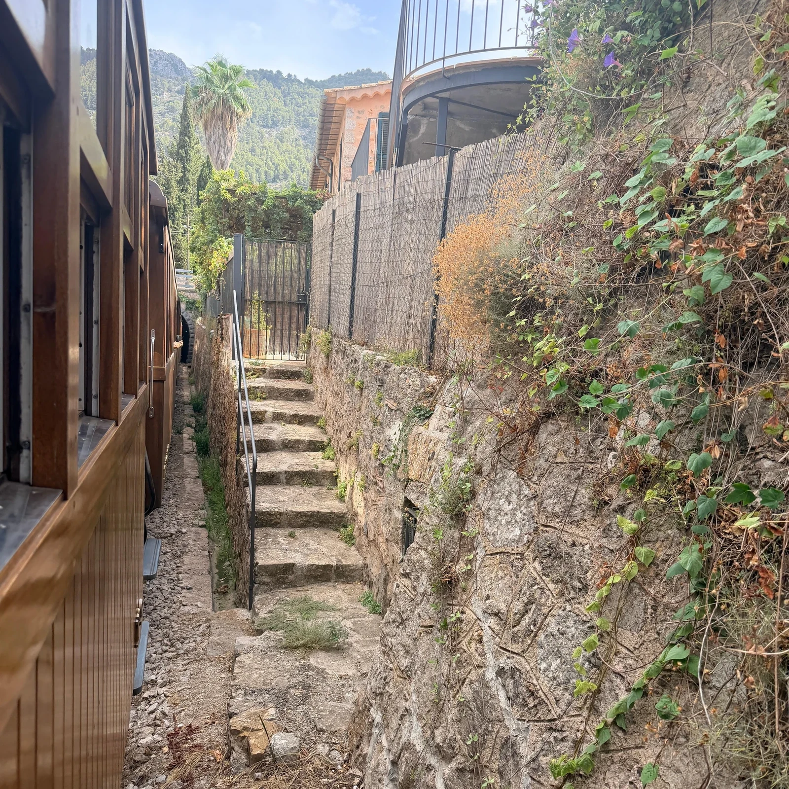 Train historique de Sóller et tramway vers Port de Sóller en une demi-journée