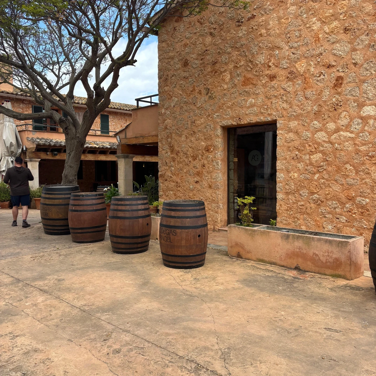 A family-run Mallorca winery, four wines and local flavors