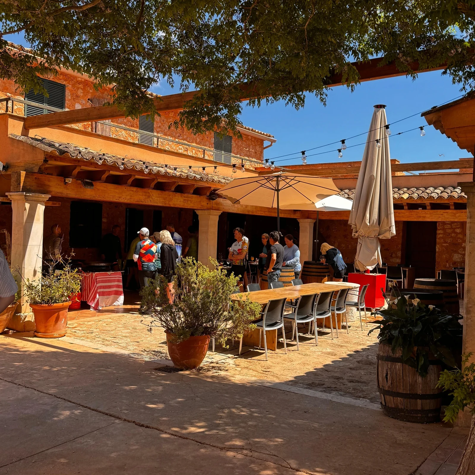 A family-run Mallorca winery, four wines and local flavors