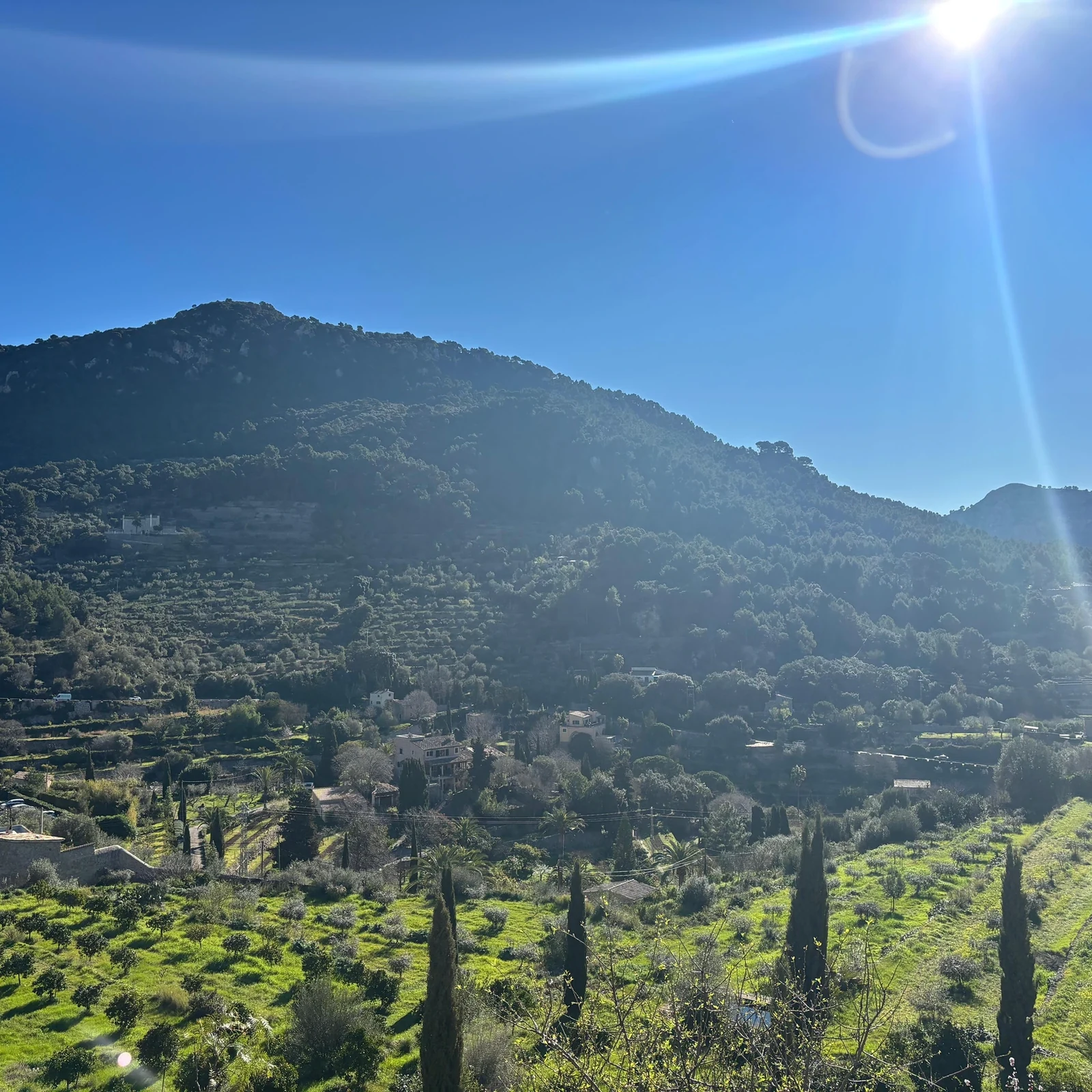 Valldemossa, sa Foradada et Port de Sóller en une matinée
