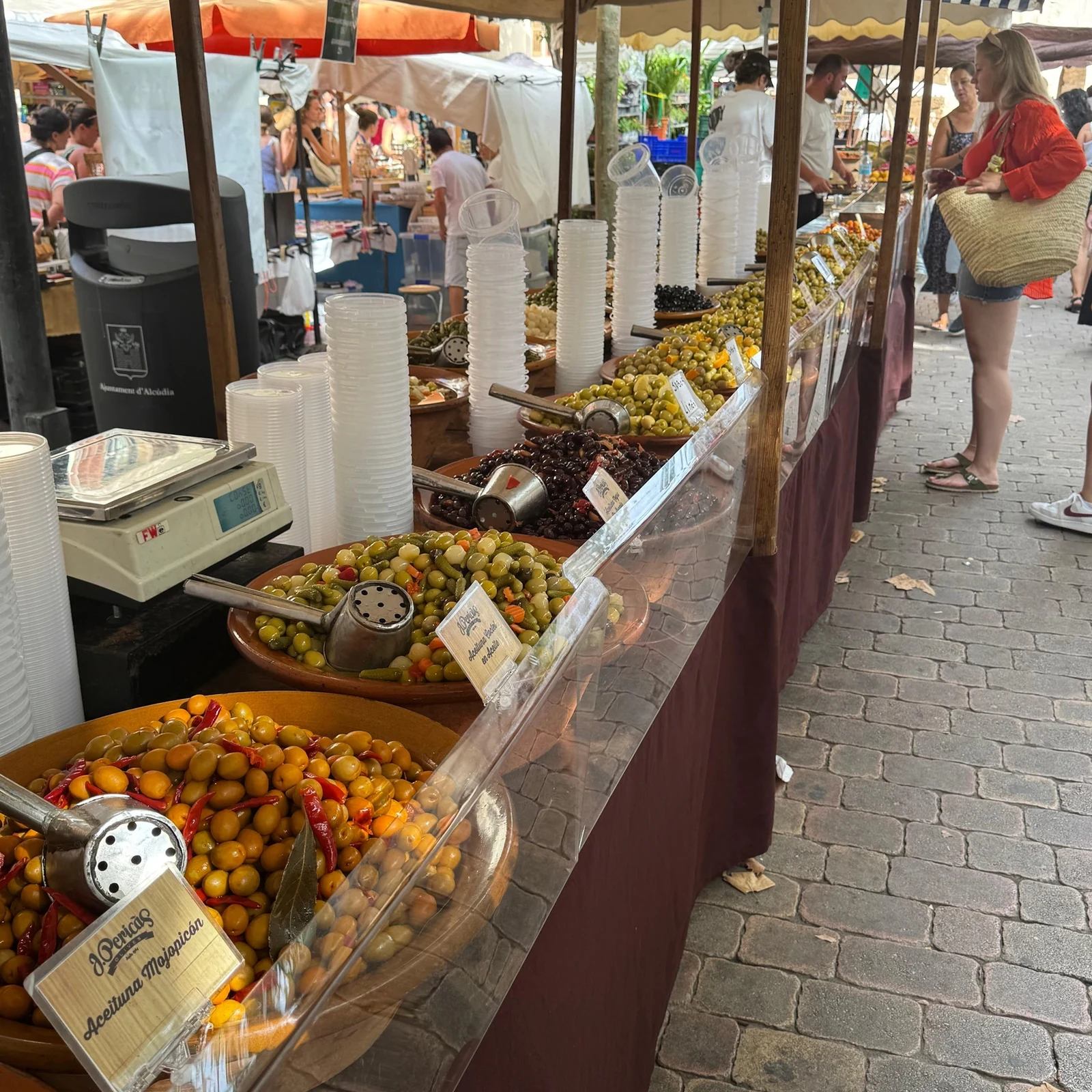Cap de Formentor, Alcudia, marché et plage en une excursion de 8 heures