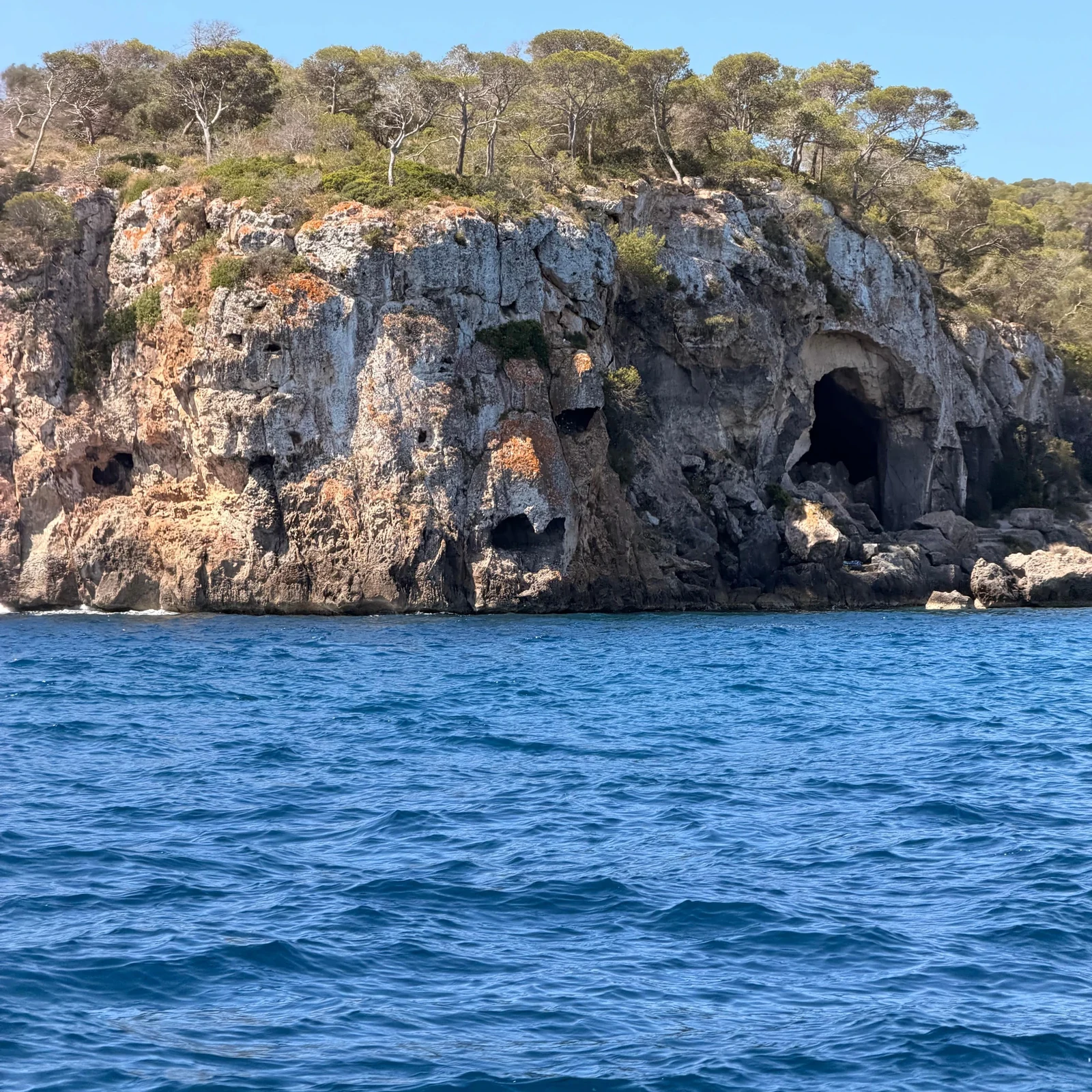 4 Stunden private Yacht entlang Palmas Küste für deine Gruppe
