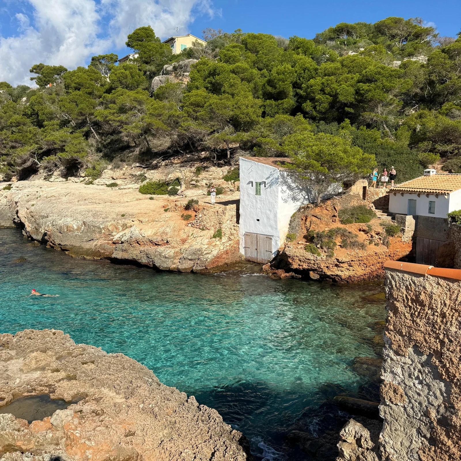 Drei Buchten auf Mallorca mit Schnorcheln, Wandern und SUP an einem Tag
