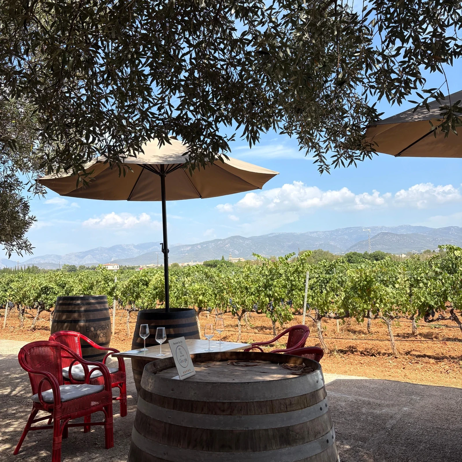 Bodegas Ángel Mallorca winery tour with 4-wine tasting