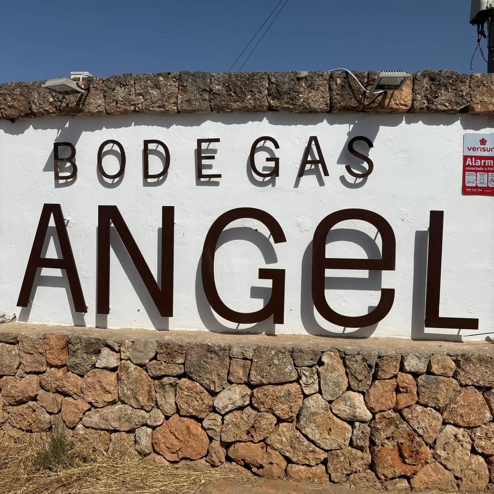 Bodegas Ángel: vineyards, winery and four Mallorcan wines in 2 hours