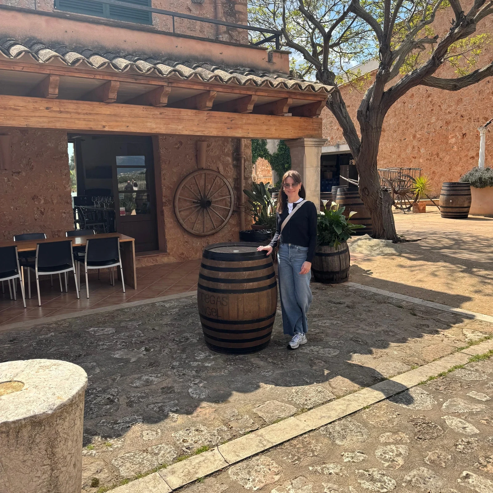 Bodegas Ángel: vineyards, winery and four Mallorcan wines in 2 hours