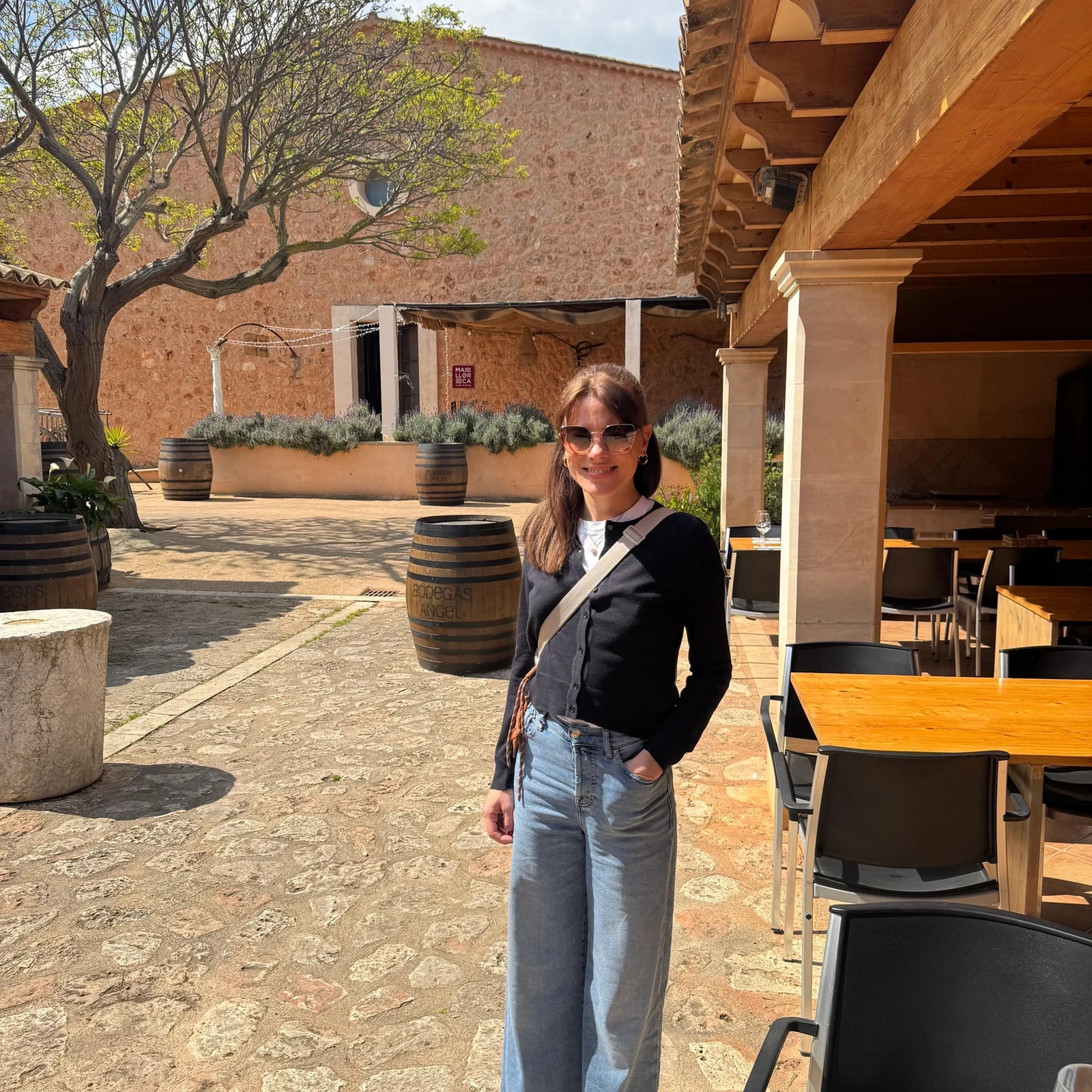 Bodegas Ángel: vineyards, winery and four Mallorcan wines in 2 hours