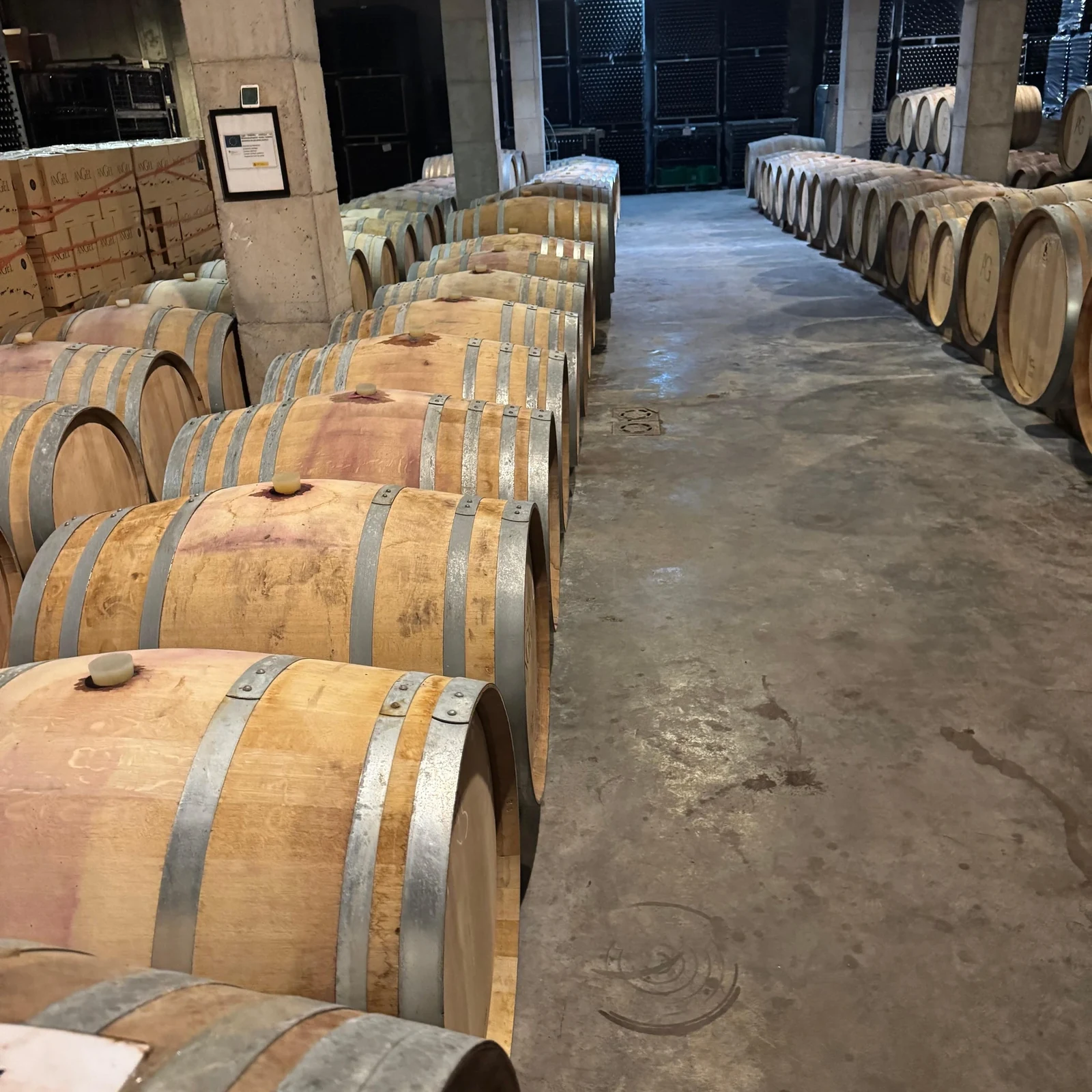 Bodegas Ángel : vignobles, domaine et quatre vins majorquins en 2 heures