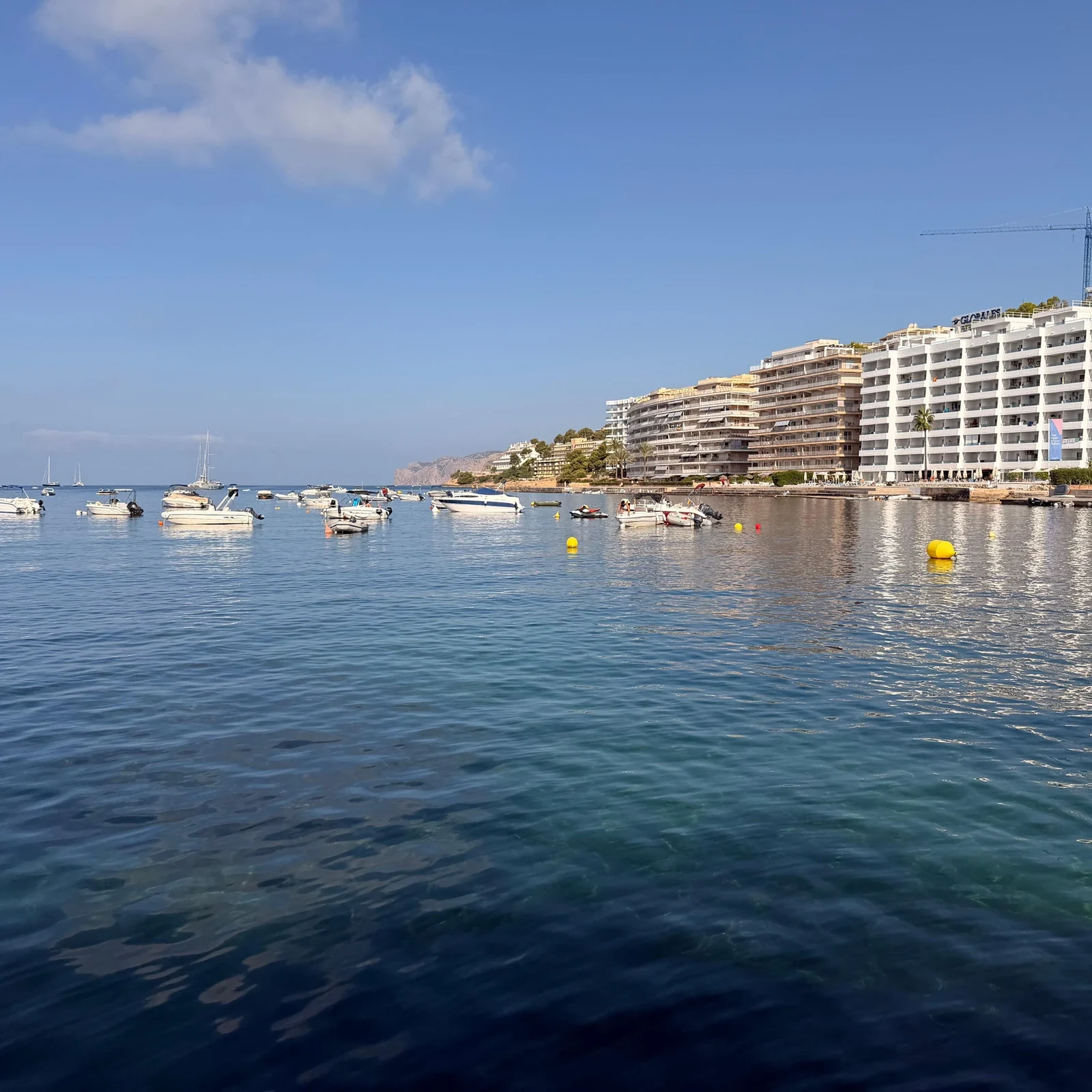 Dolphin watching from Santa Ponsa on Mallorca's southwest coast