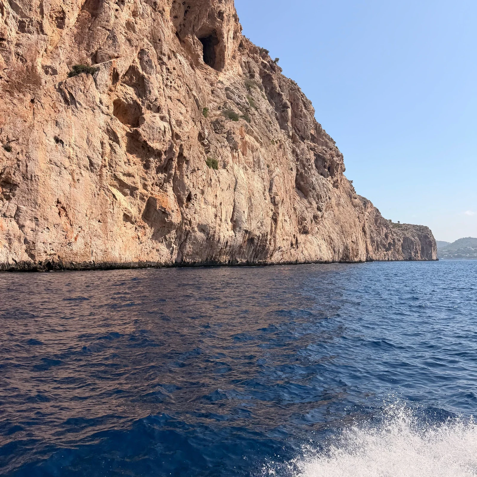 Dolphin watching from Santa Ponsa on Mallorca's southwest coast