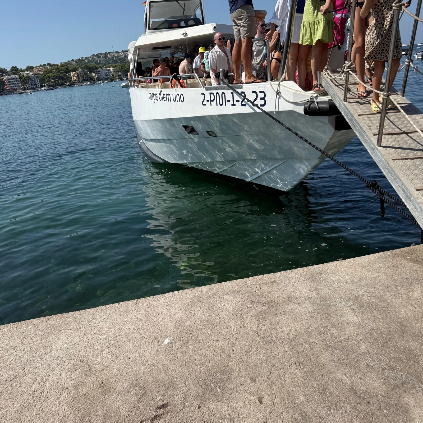 Dolphin watching from Santa Ponsa on Mallorca's southwest coast