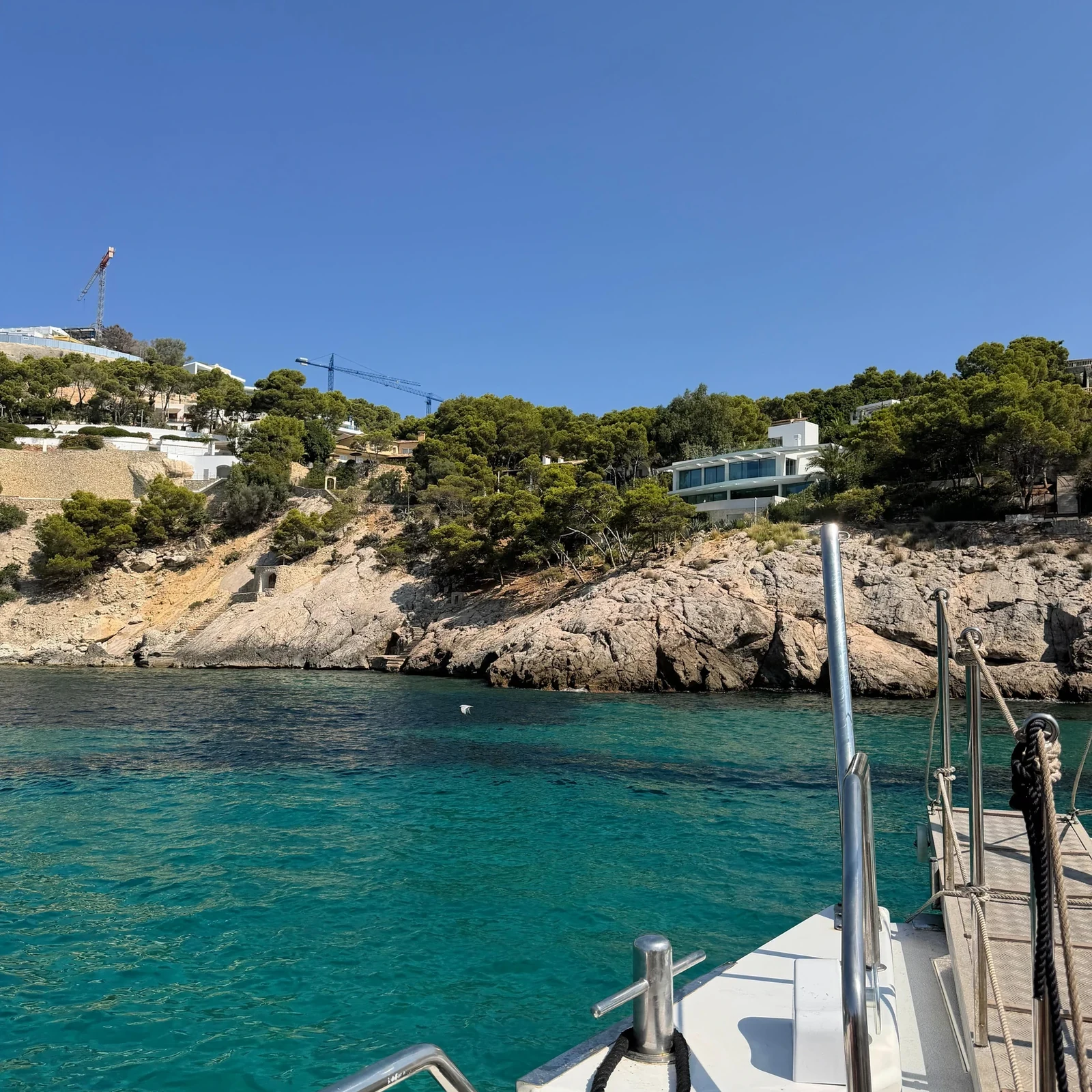 Dolphin watching from Santa Ponsa on Mallorca's southwest coast
