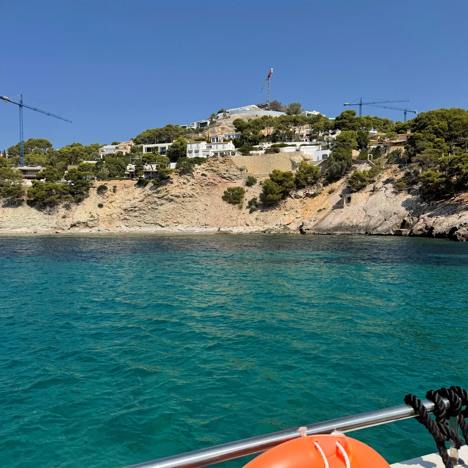 Dolphin watching from Santa Ponsa on Mallorca's southwest coast
