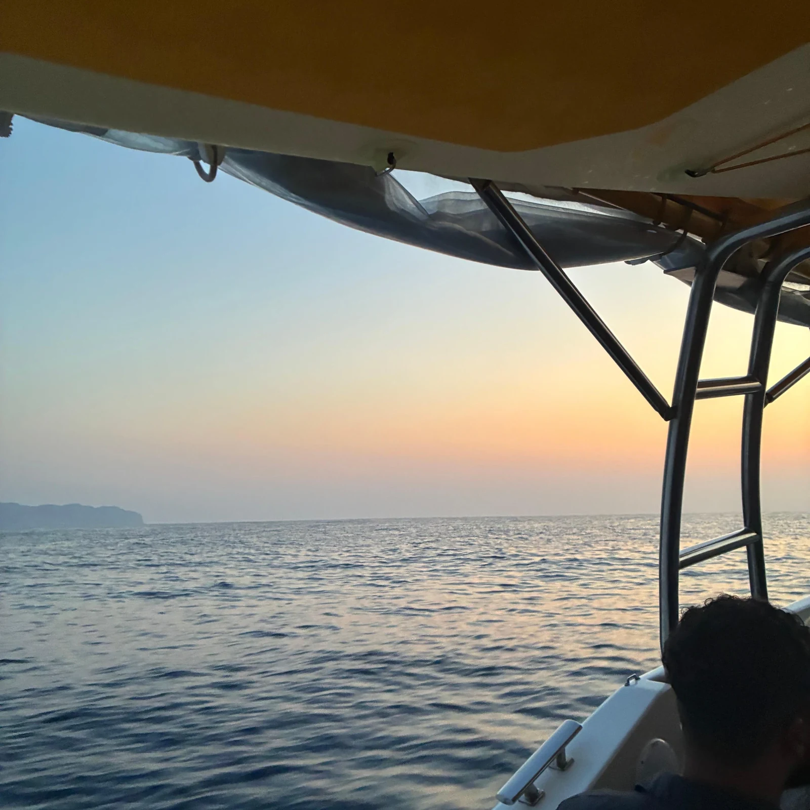 Delfines en la bahía de Alcúdia con recogida y opción de amanecer
