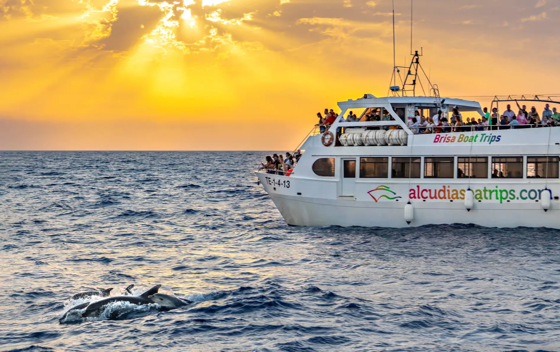 Excursión en barco para ver delfines en Puerto de Alcúdia al amanecer