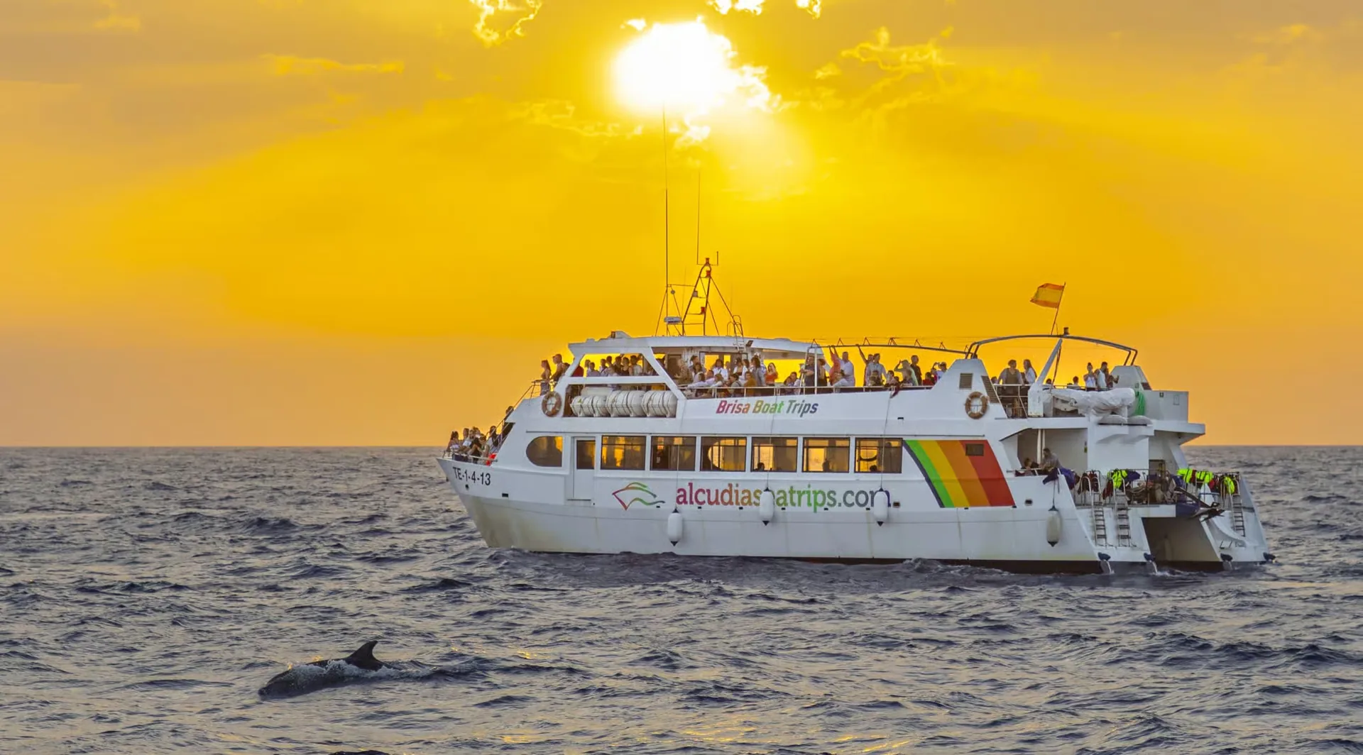 Dolphin watching boat tour from Port d'Alcúdia