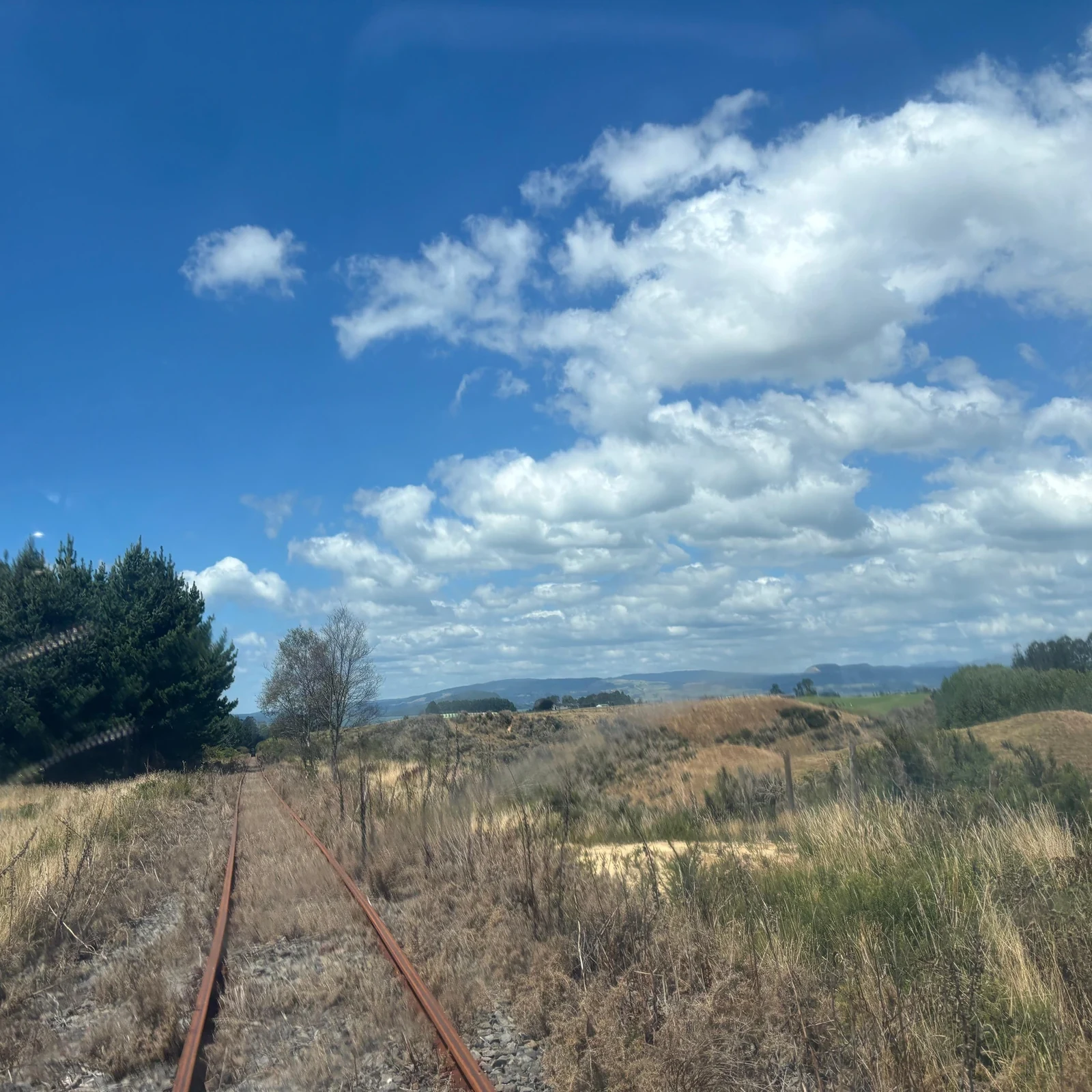 Explore the historic Rotorua Railway by rail car