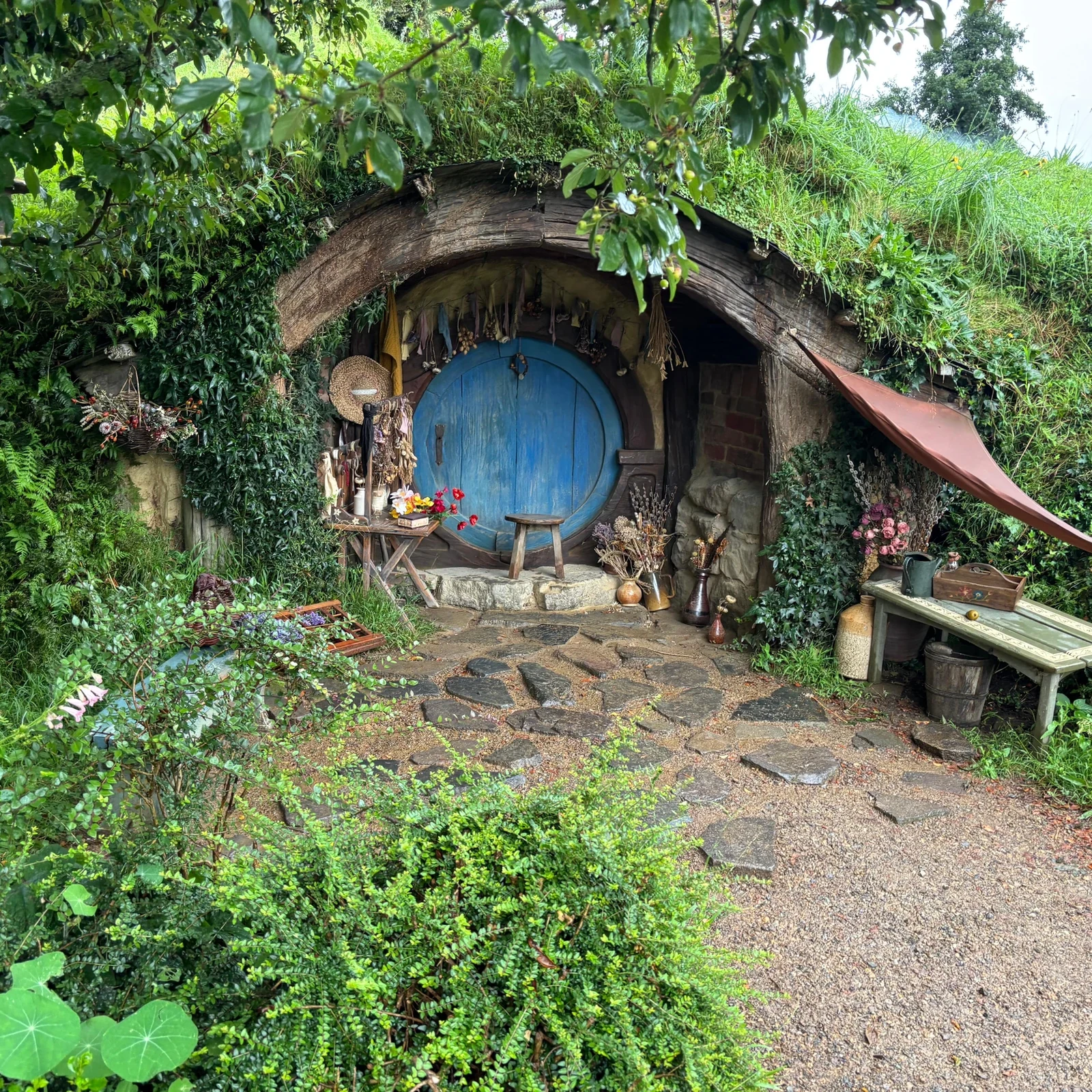 Hobbiton desde Rotorua, con visita guiada y almuerzo