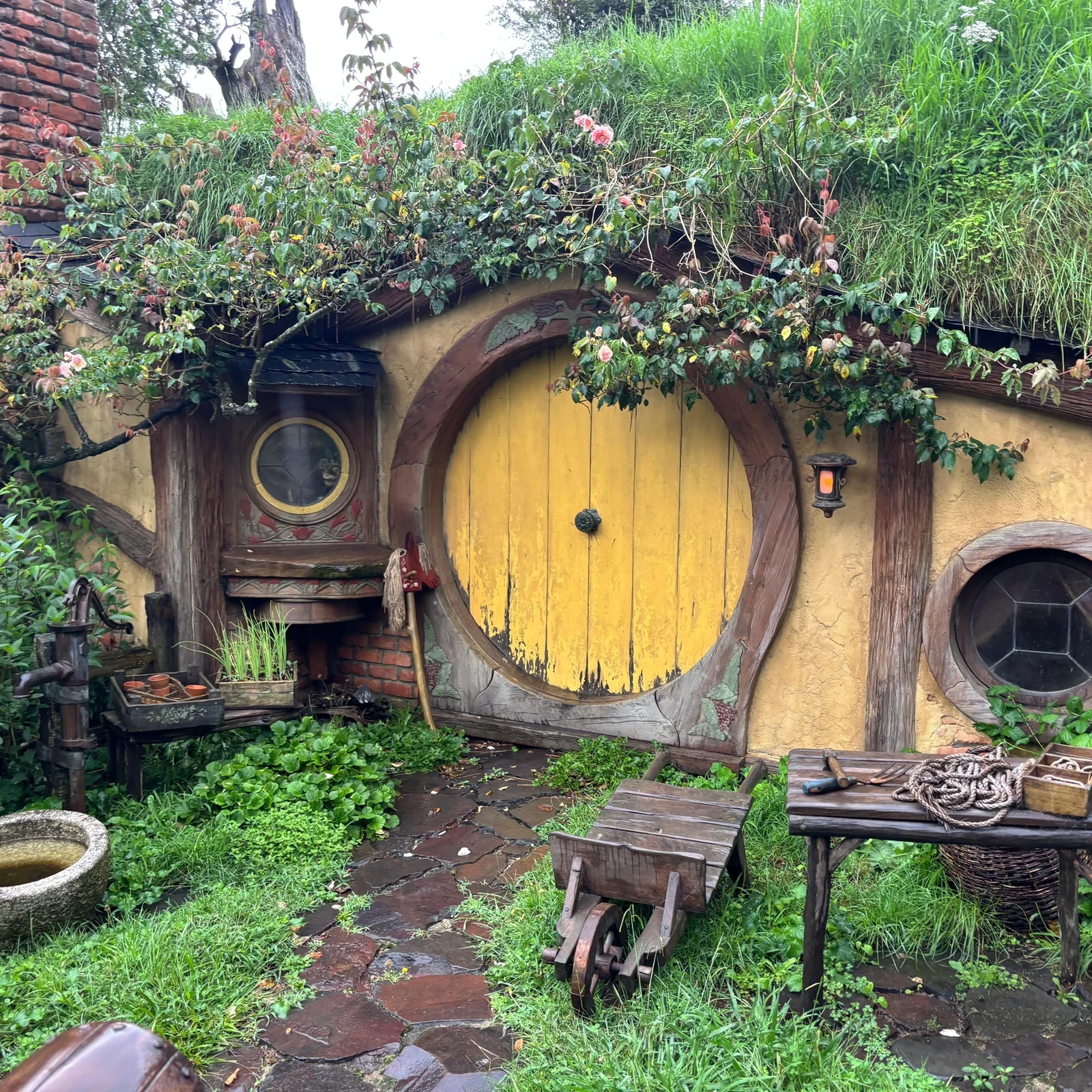 Hobbiton desde Rotorua, con visita guiada y almuerzo