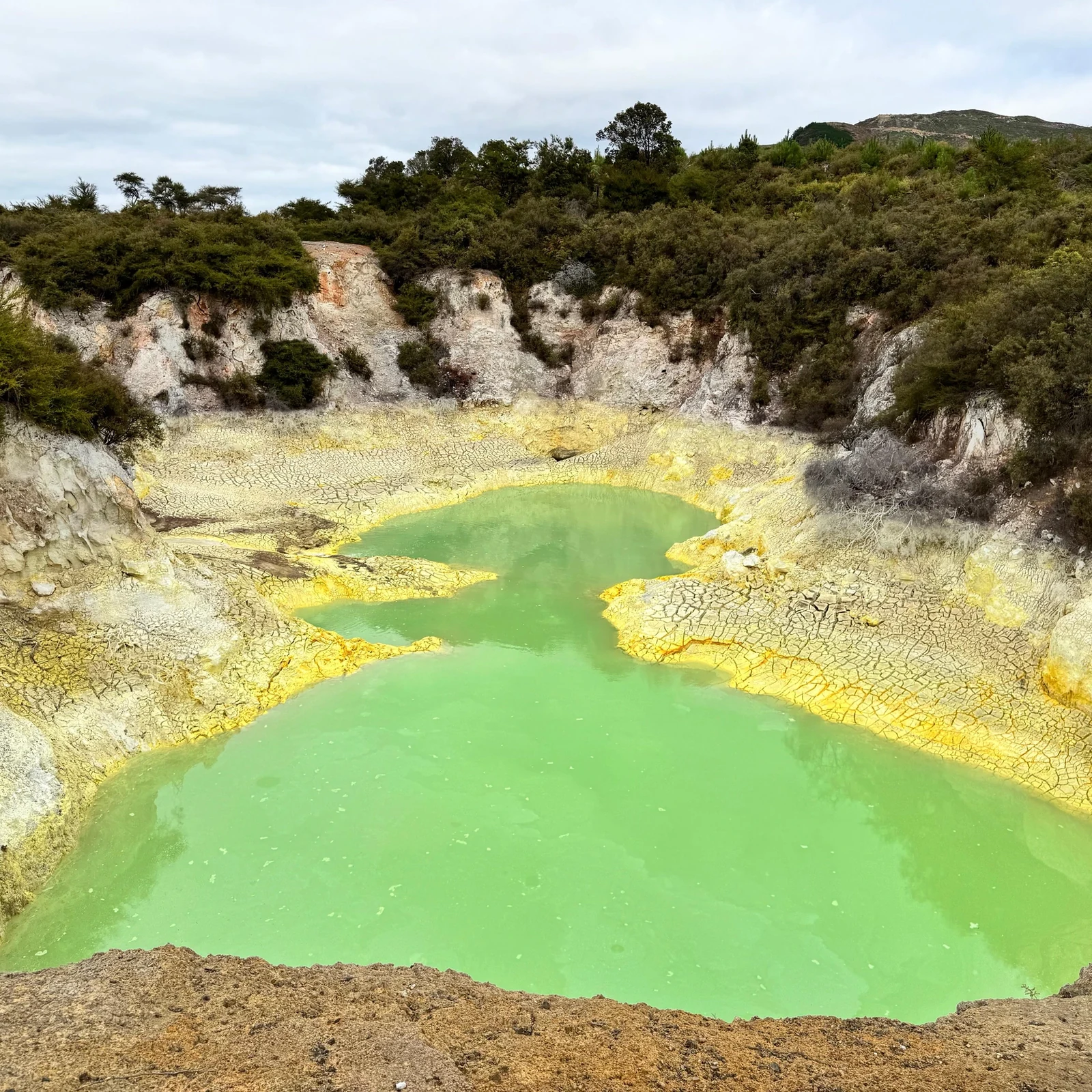 Zwei Geothermallandschaften an einem Vormittag ab Rotorua