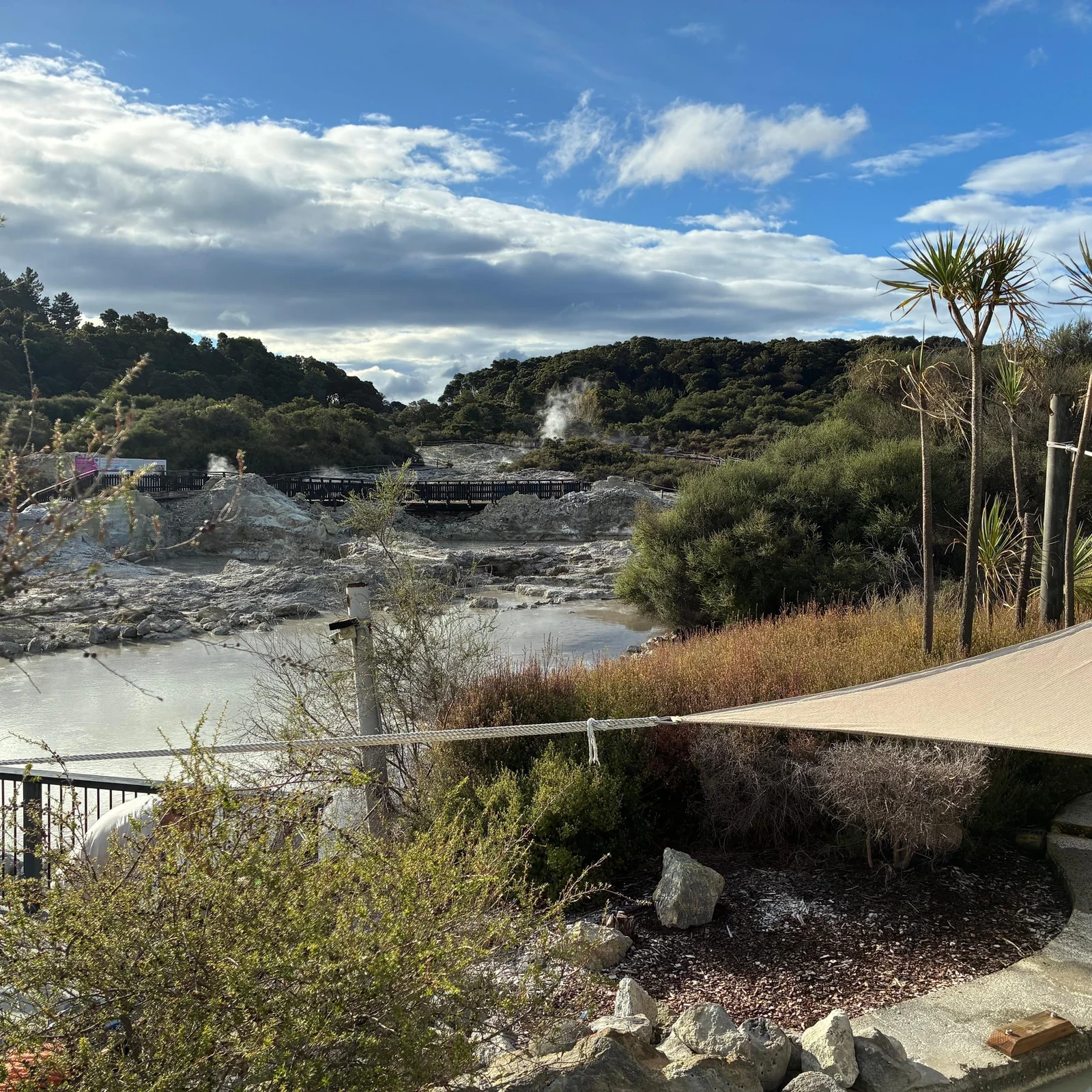 Geothermal mud, sulphur water and a cold contrast at Hells Gate