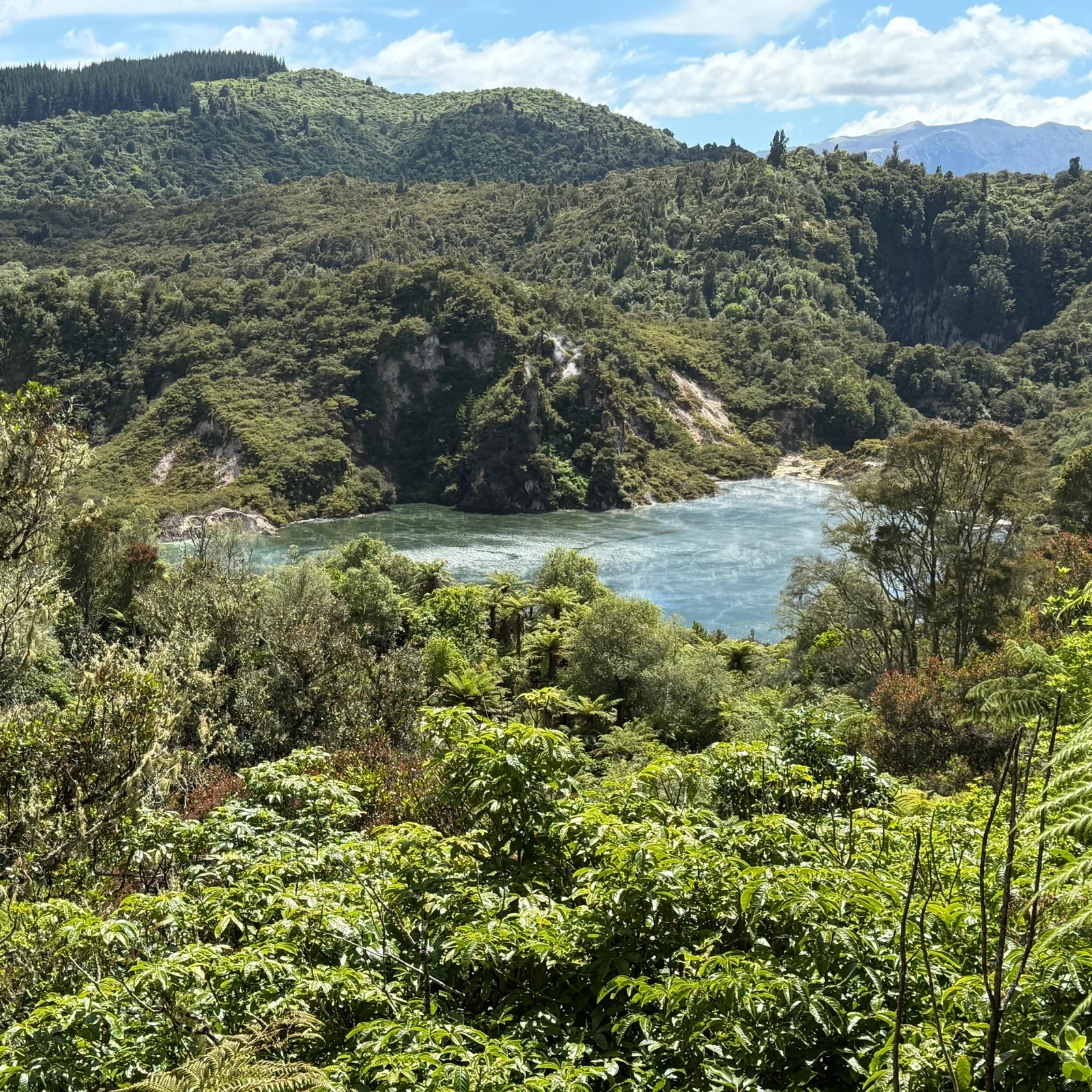 Drei geothermische Landschaften an einem organisierten Tag in Rotorua