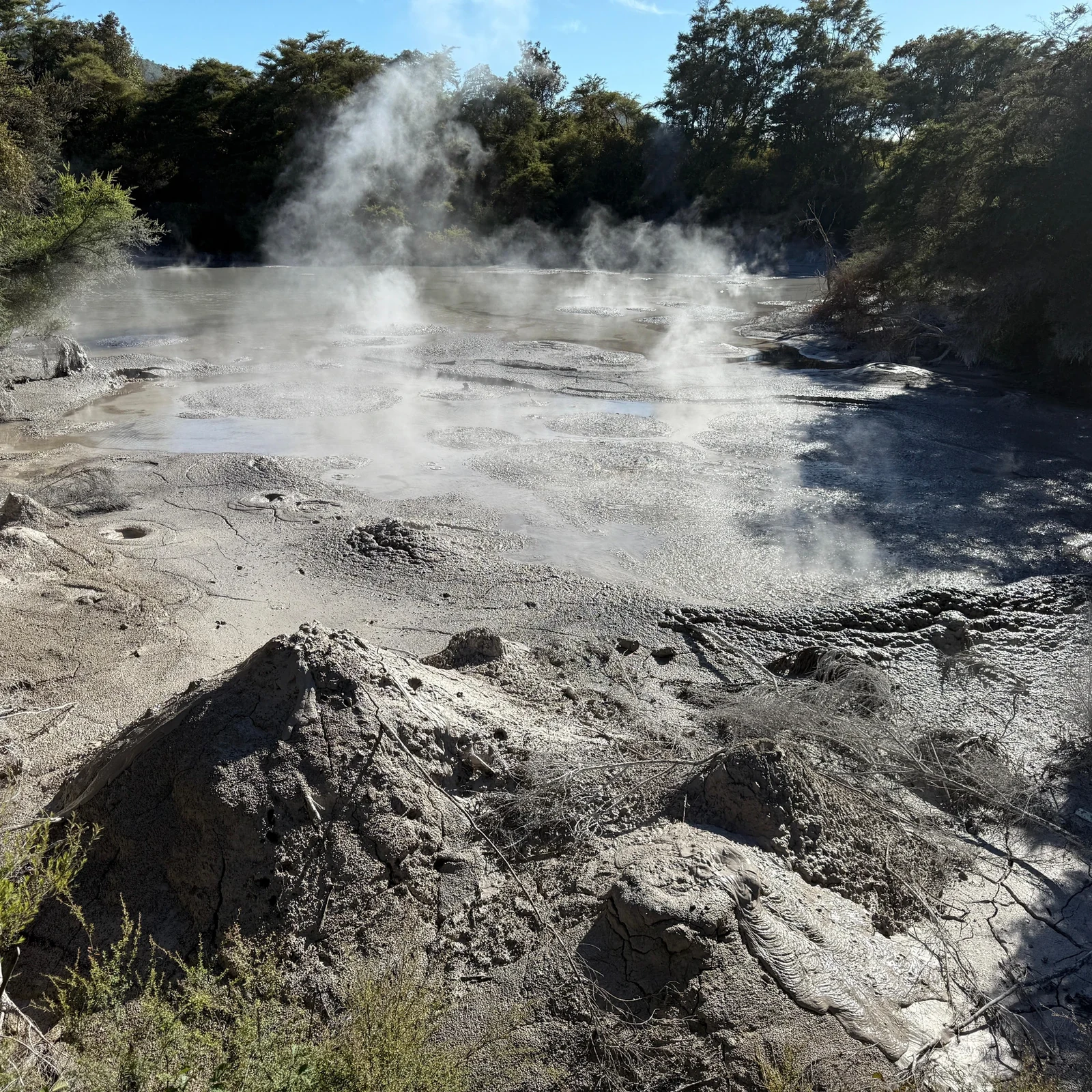 Trois paysages géothermiques de Rotorua en une journée organisée