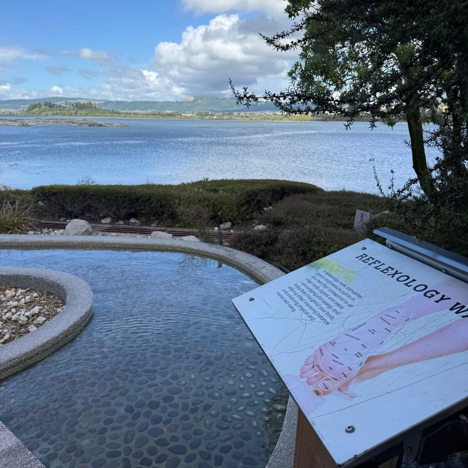 Baño termal a tu ritmo en las Pavilion Pools de Rotorua