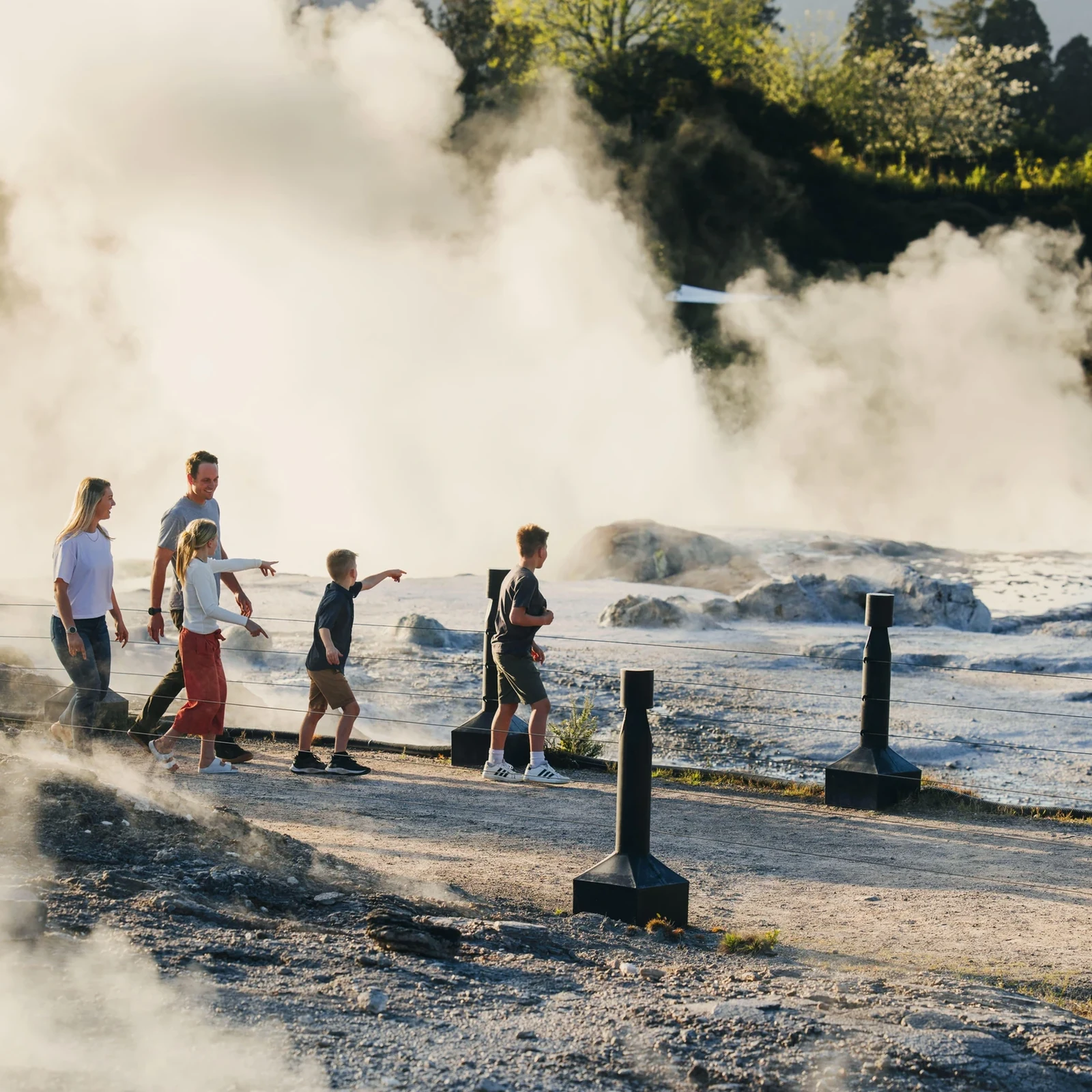 Geothermie, Māori-Kultur und Kiwi-Schutz in Te Puia